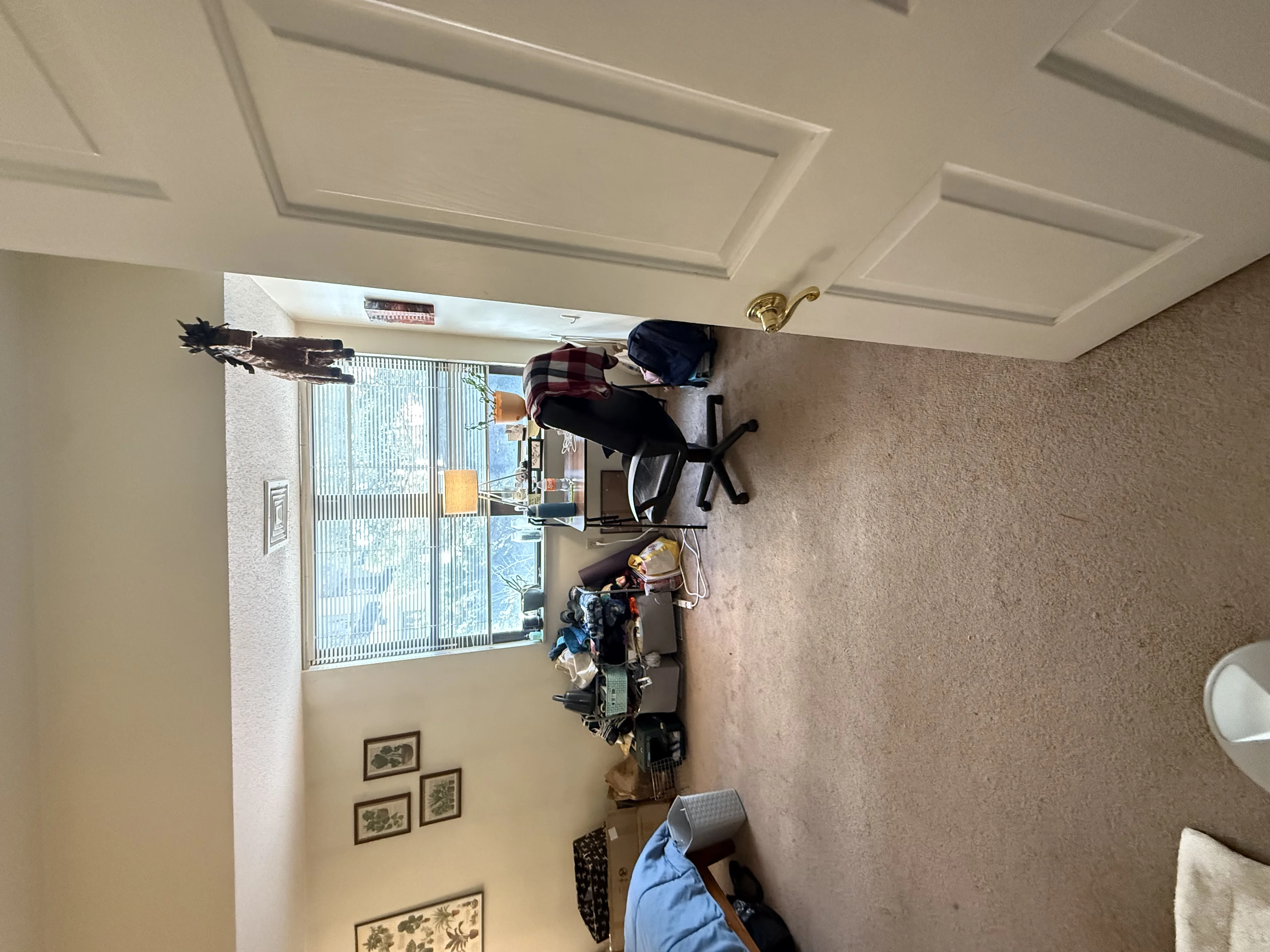 2 bed, 1 bath apartment for rent at 85 Hancock St Unit 1, Mid Cambridge — photo 4 of 11