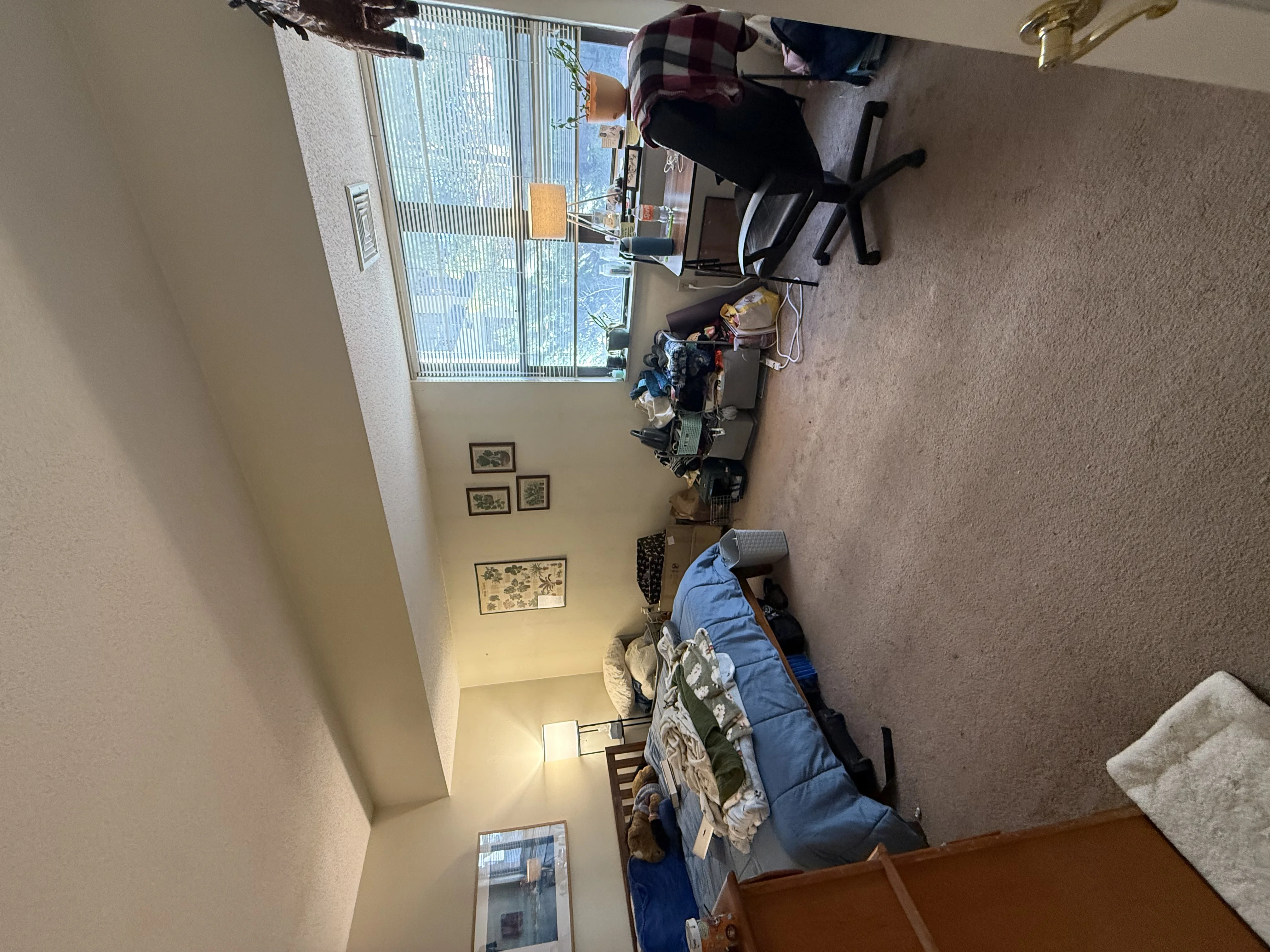 2 bed, 1 bath apartment for rent at 85 Hancock St Unit 1, Mid Cambridge — photo 5 of 11