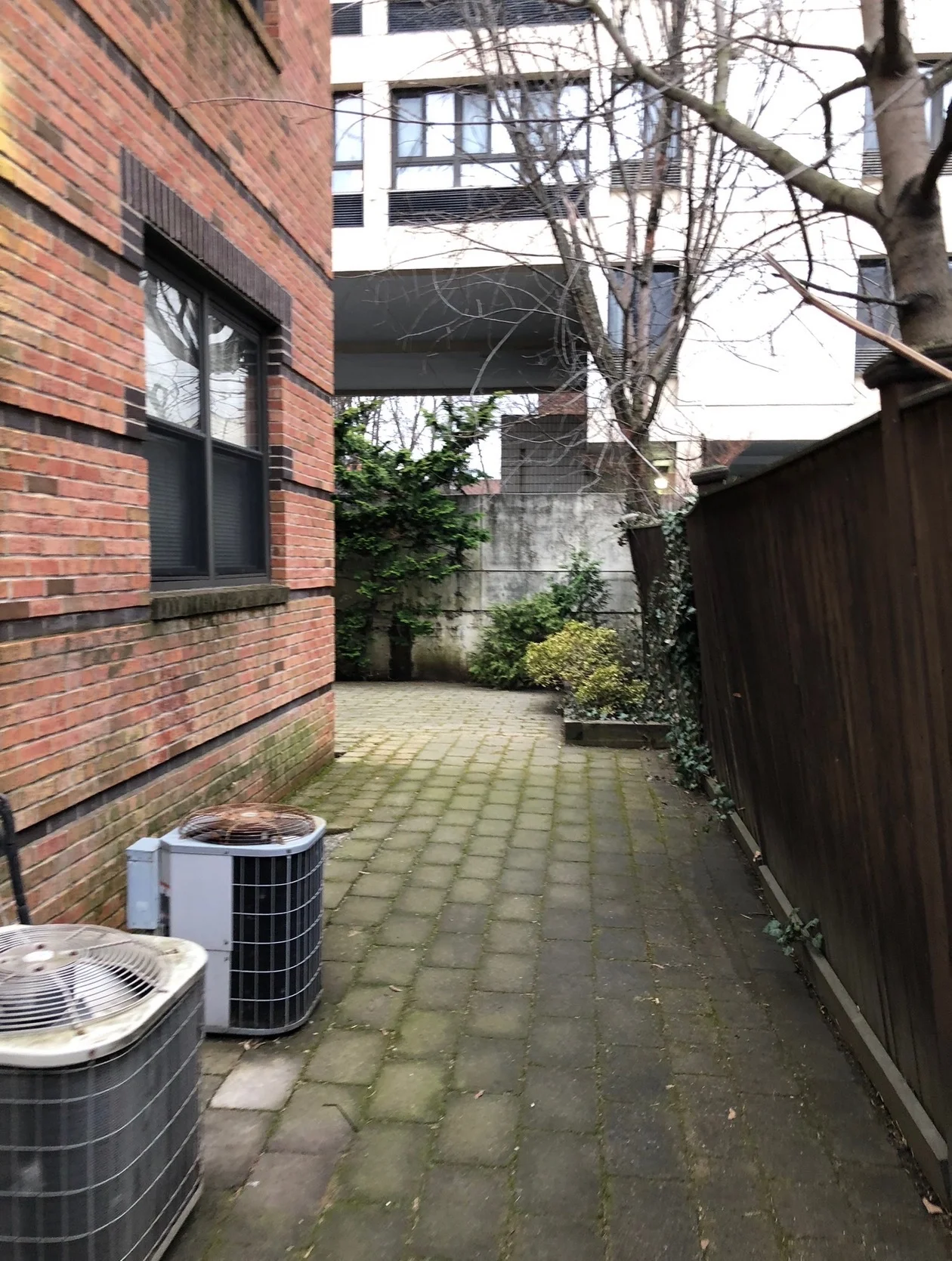 2 bed, 2 bath apartment for rent at 85 Hancock St Unit 7, Mid Cambridge — photo 11 of 15