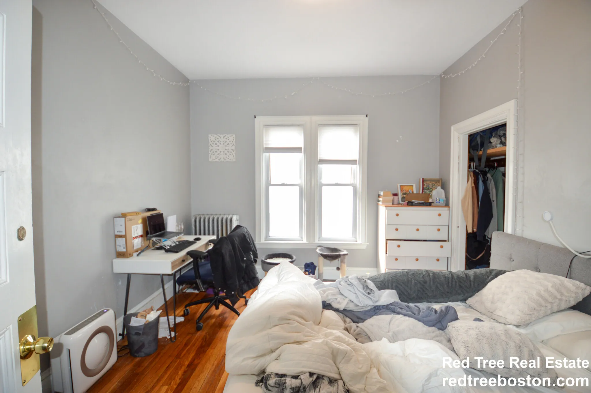 4 bed, 2 bath apartment for rent at 85 Surrey St Unit 1, Brighton — photo 8 of 12