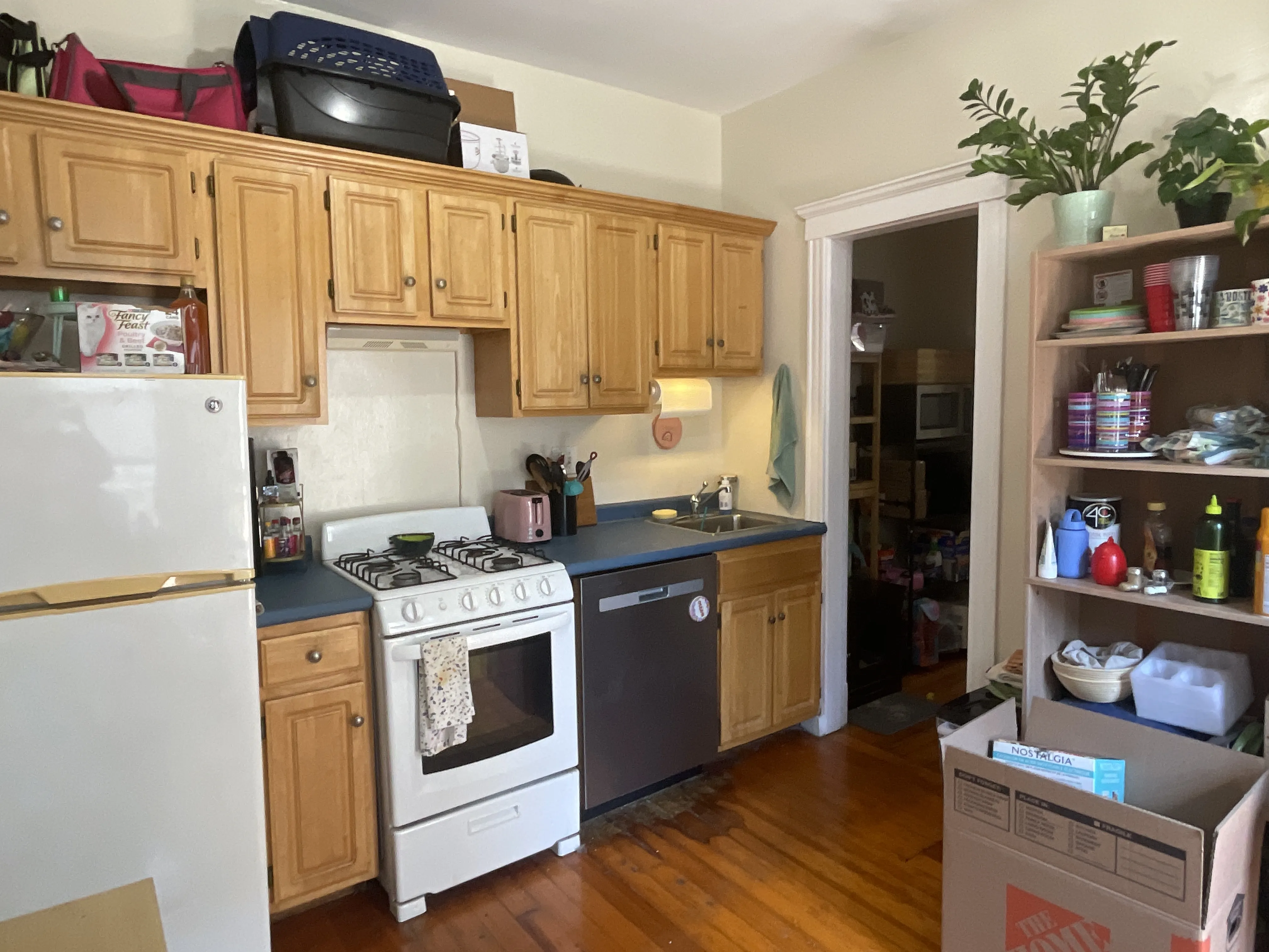 2 bed, 1 bath apartment for rent at 85 Sutherland Rd Unit 11, Brighton — photo 3 of 13