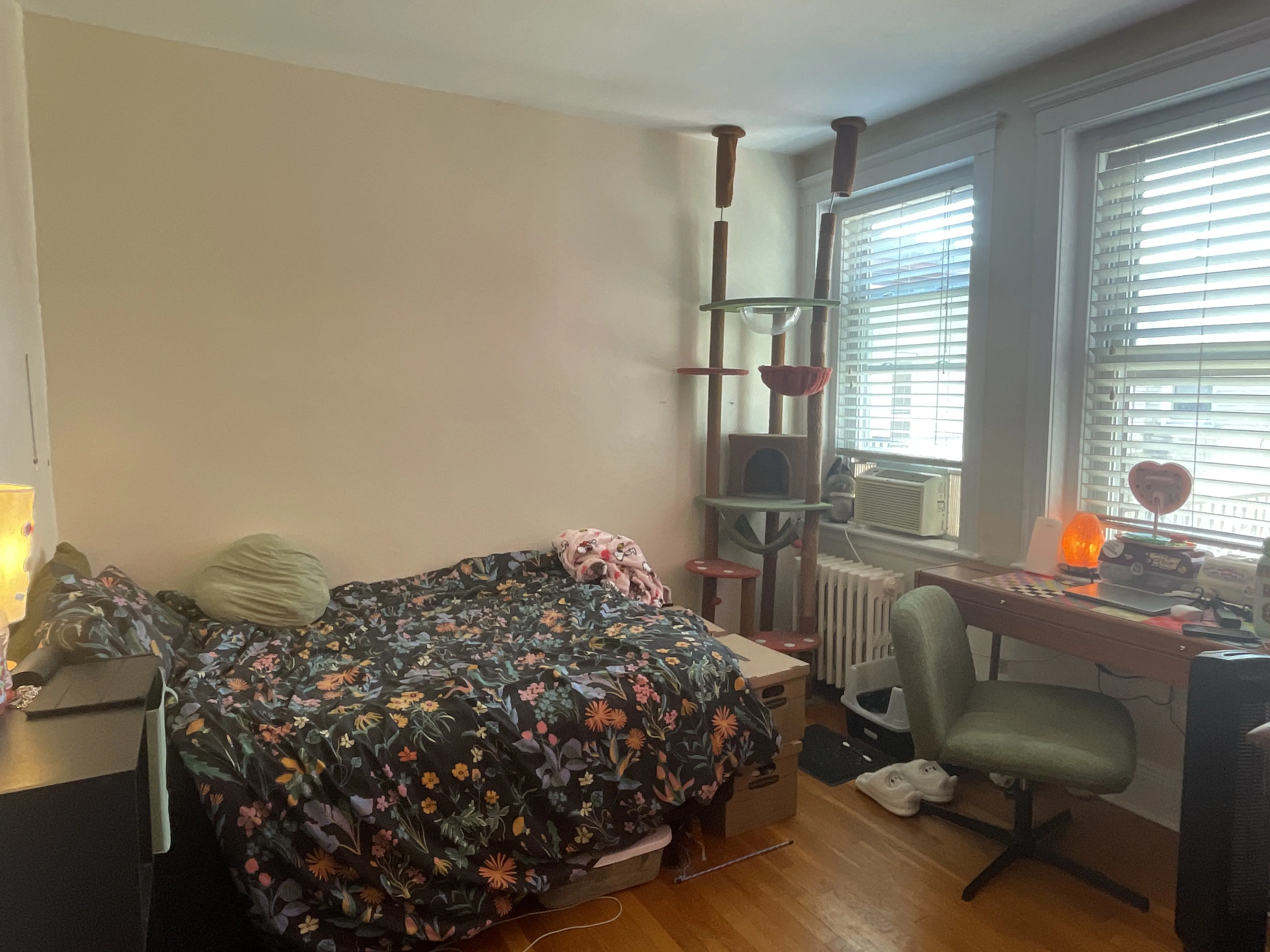 2 bed, 1 bath apartment for rent at 85 Sutherland Rd Unit 11, Brighton — photo 8 of 13