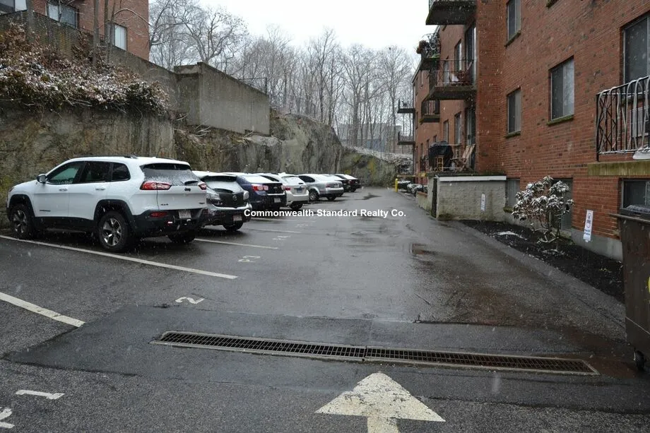 2 bed, 1 bath apartment for rent at 85 Sutherland Rd Unit 25, Brighton — photo 19 of 23