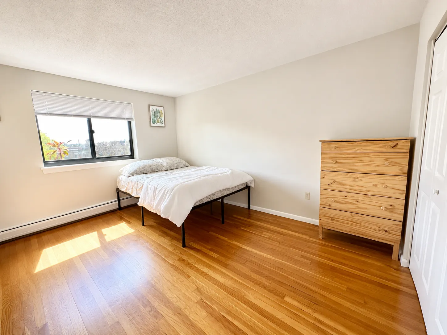 2 bed, 1 bath apartment for rent at 85 Sutherland Rd Unit 5, Brighton — photo 5 of 17