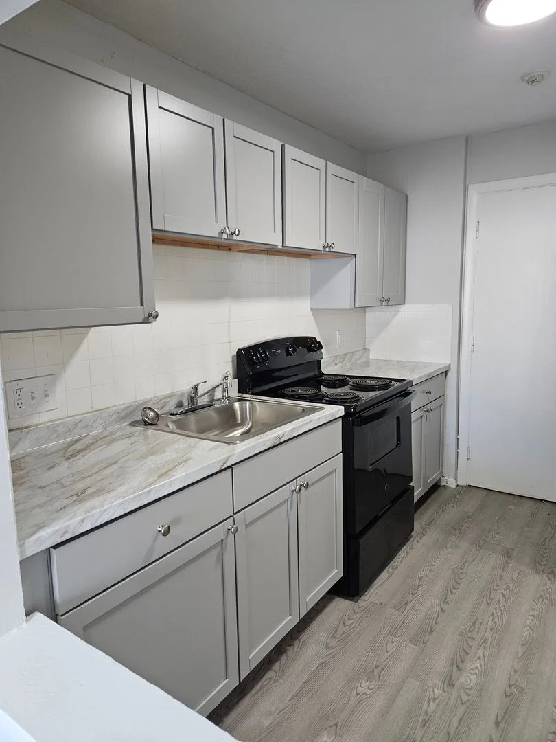 2 bed, 1 bath apartment for rent at 85 Tennis Rd Unit 101, Mattapan