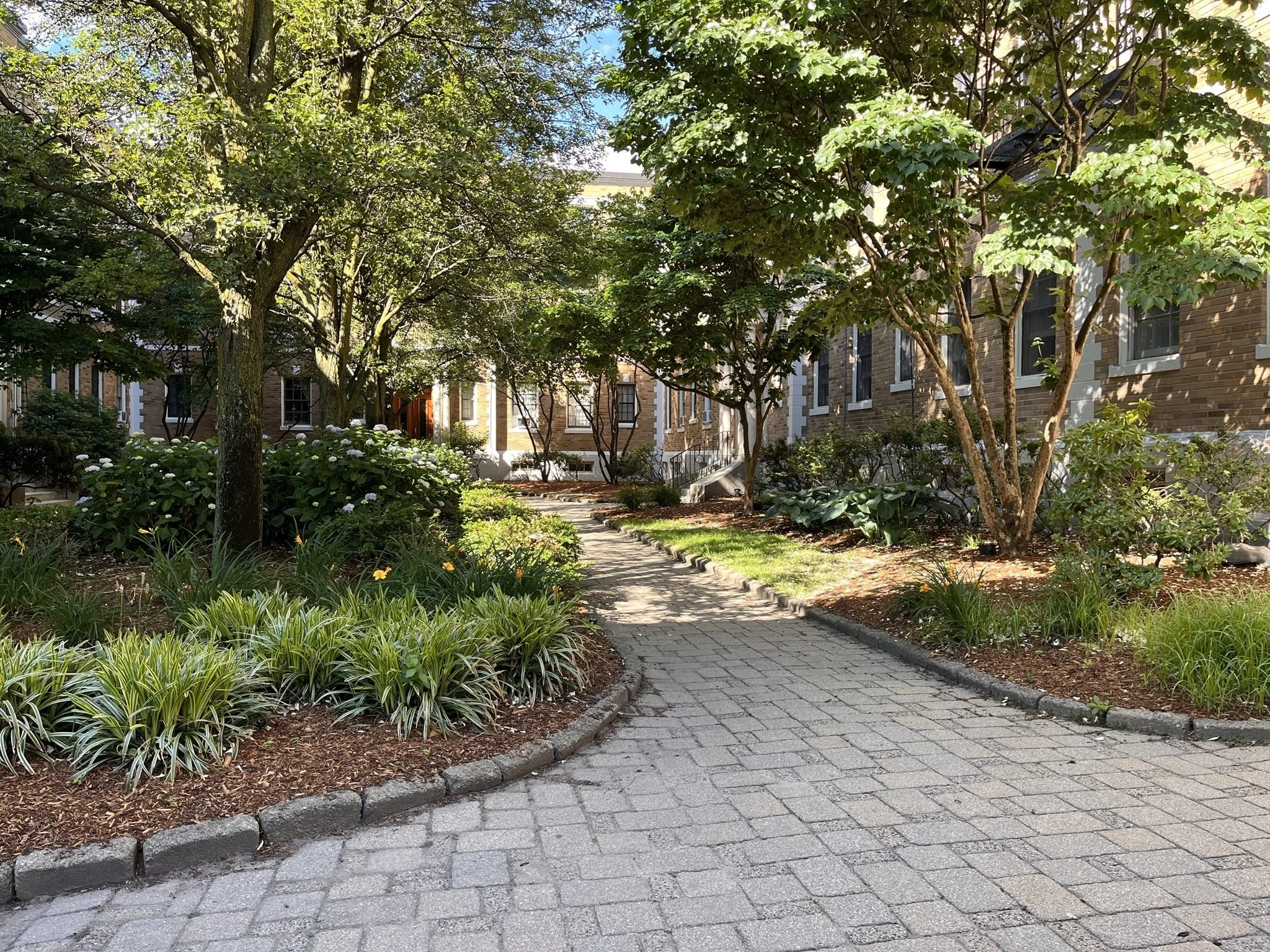 1 bed, 1 bath apartment for rent at 854 Massachusetts Ave Unit 4, Central Square — photo 10 of 10