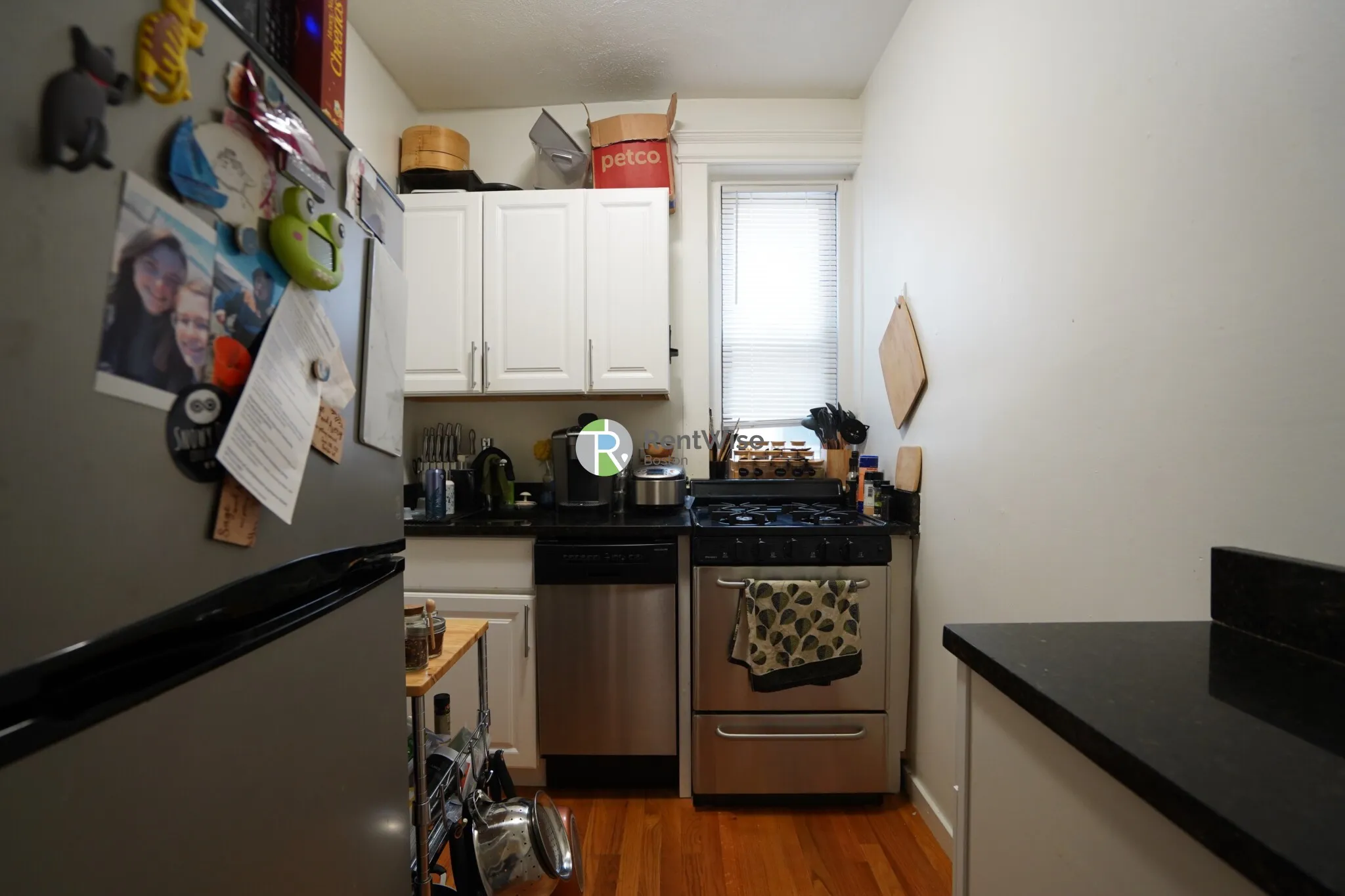 1 bed, 1 bath apartment for rent at 86 Brainerd Rd Unit 12, Allston — photo 5 of 14