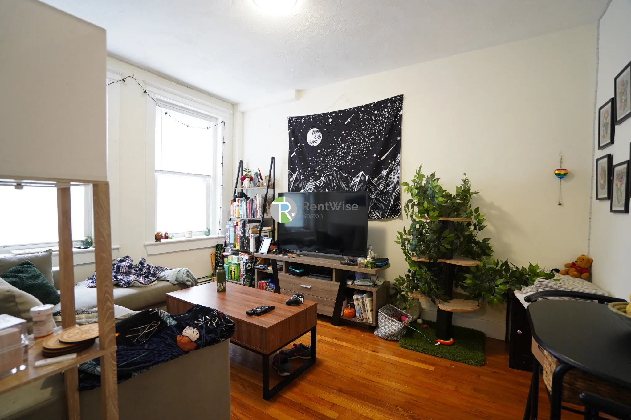 1 bed, 1 bath apartment for rent at 86 Brainerd Rd Unit 12, Allston — photo 3 of 14