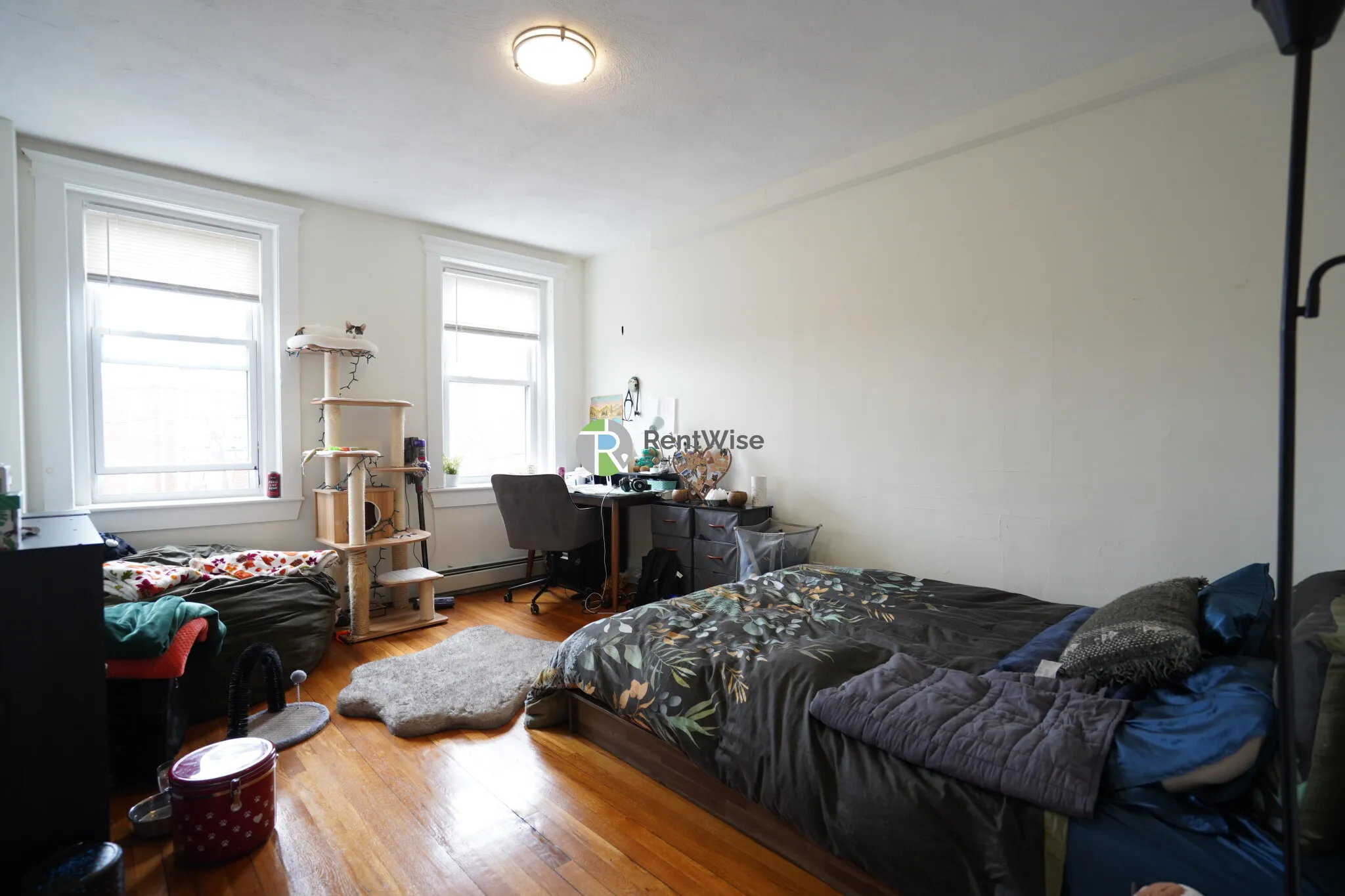 1 bed, 1 bath apartment for rent at 86 Brainerd Rd Unit 12, Allston