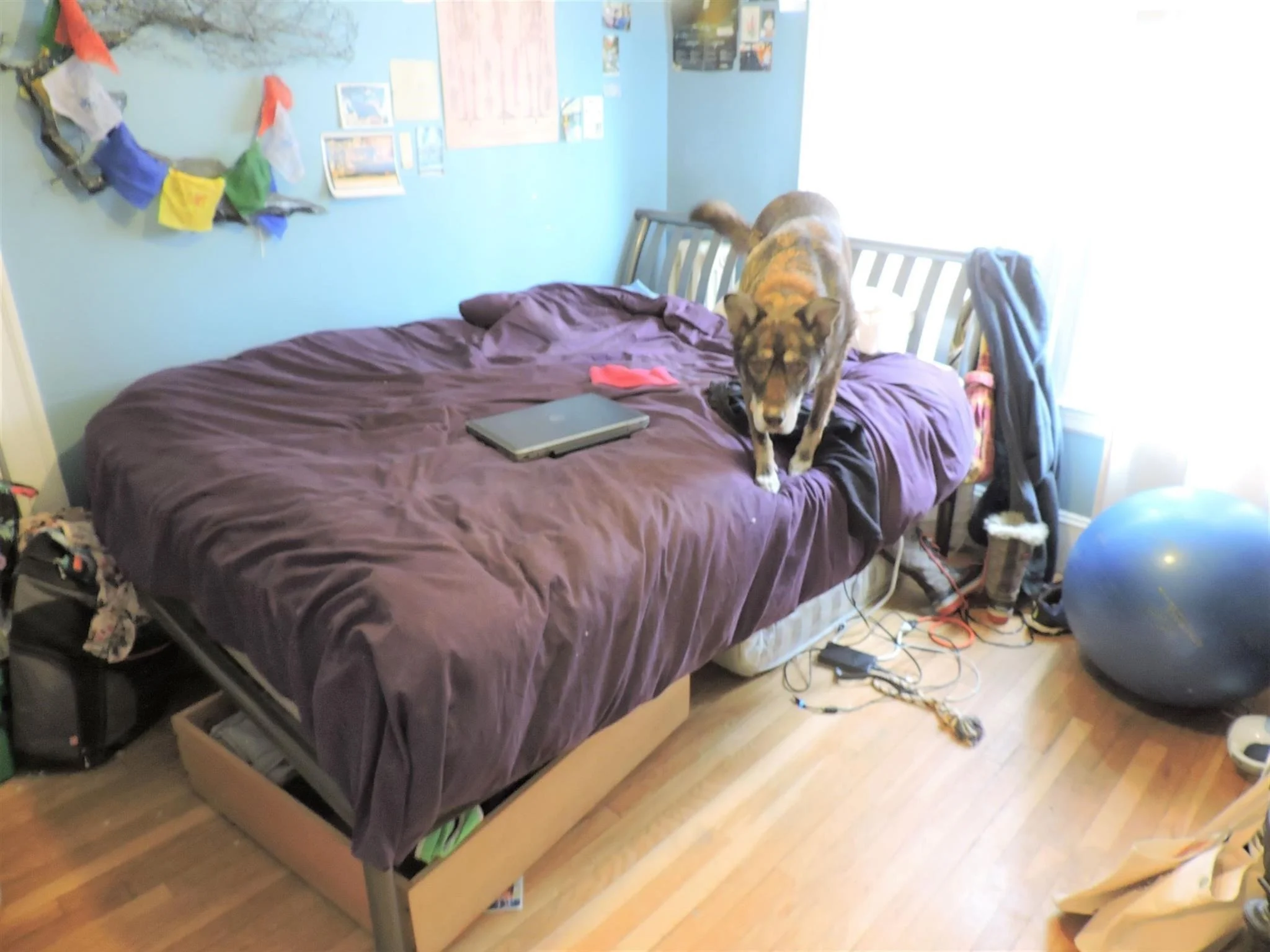 3 bed, 2 bath apartment for rent at 86 Henry St Unit 1, Cambridgeport — photo 8 of 16