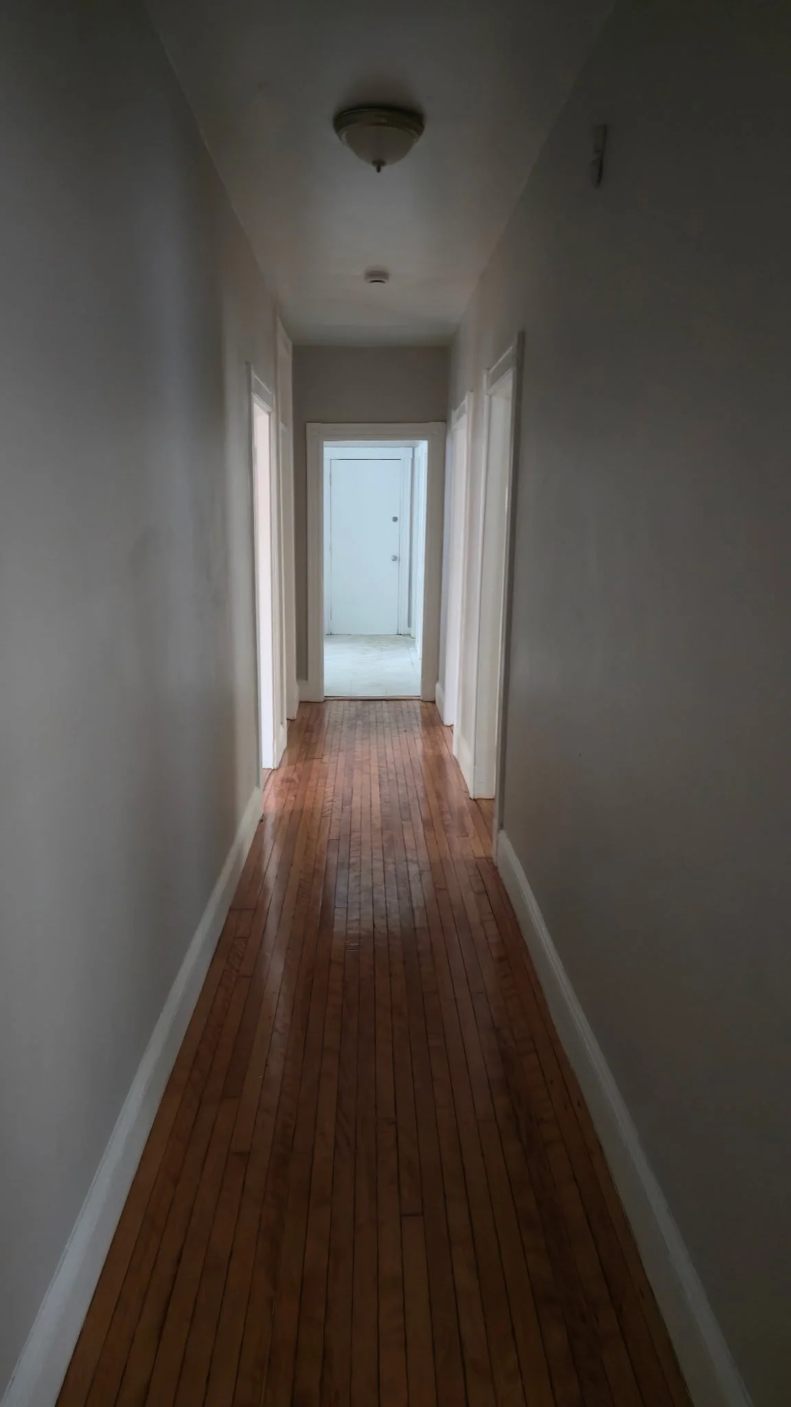 3 bed, 1 bath apartment for rent at 86 Lonsdale St Unit 1, Dorchester — photo 2 of 9