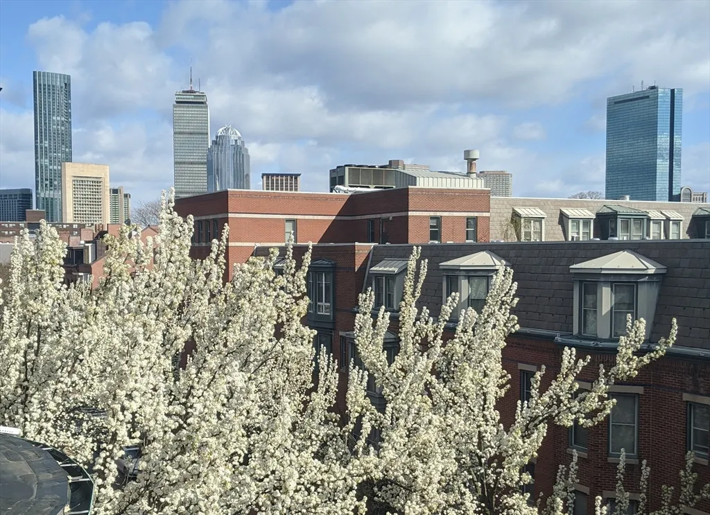 2 bed, 2 bath apartment for rent at 86 West Springfield Unit 3, South End — photo 38 of 39