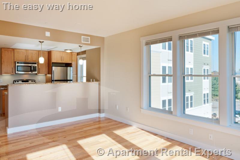 2 bed, 2 bath apartment for rent at 87 New St Unit 401, Fresh Pond — photo 2 of 6