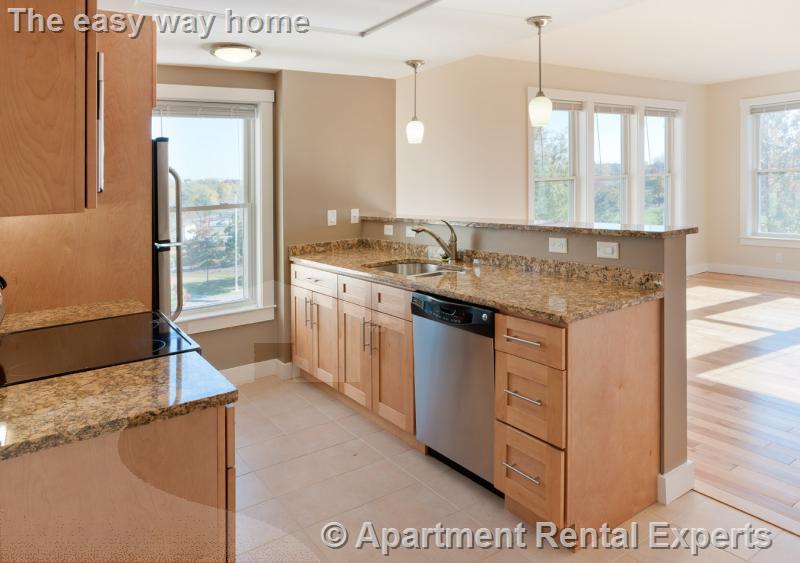 2 bed, 2 bath apartment for rent at 87 New St Unit 401, Fresh Pond — photo 1 of 6