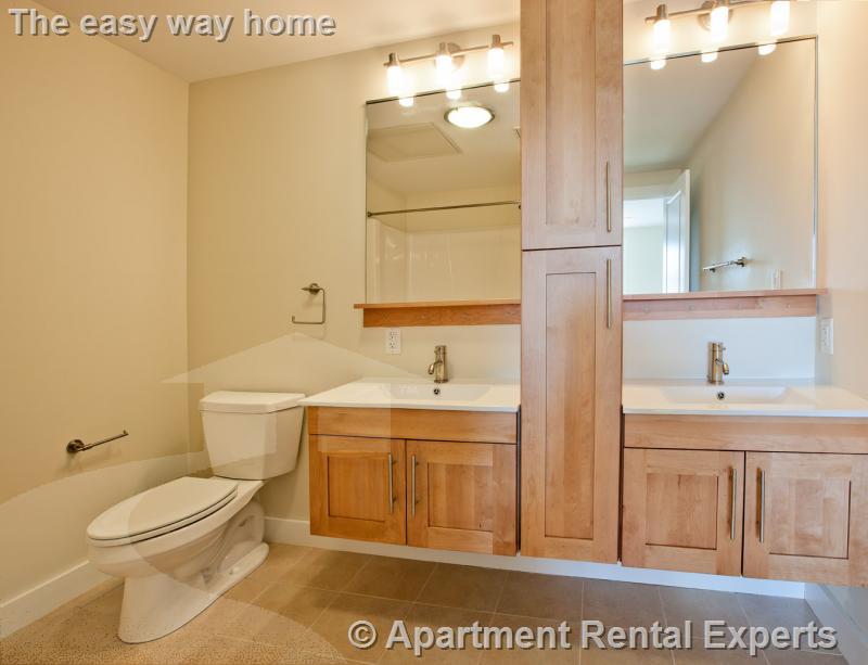 2 bed, 2 bath apartment for rent at 87 New St Unit 407, Fresh Pond — photo 4 of 6