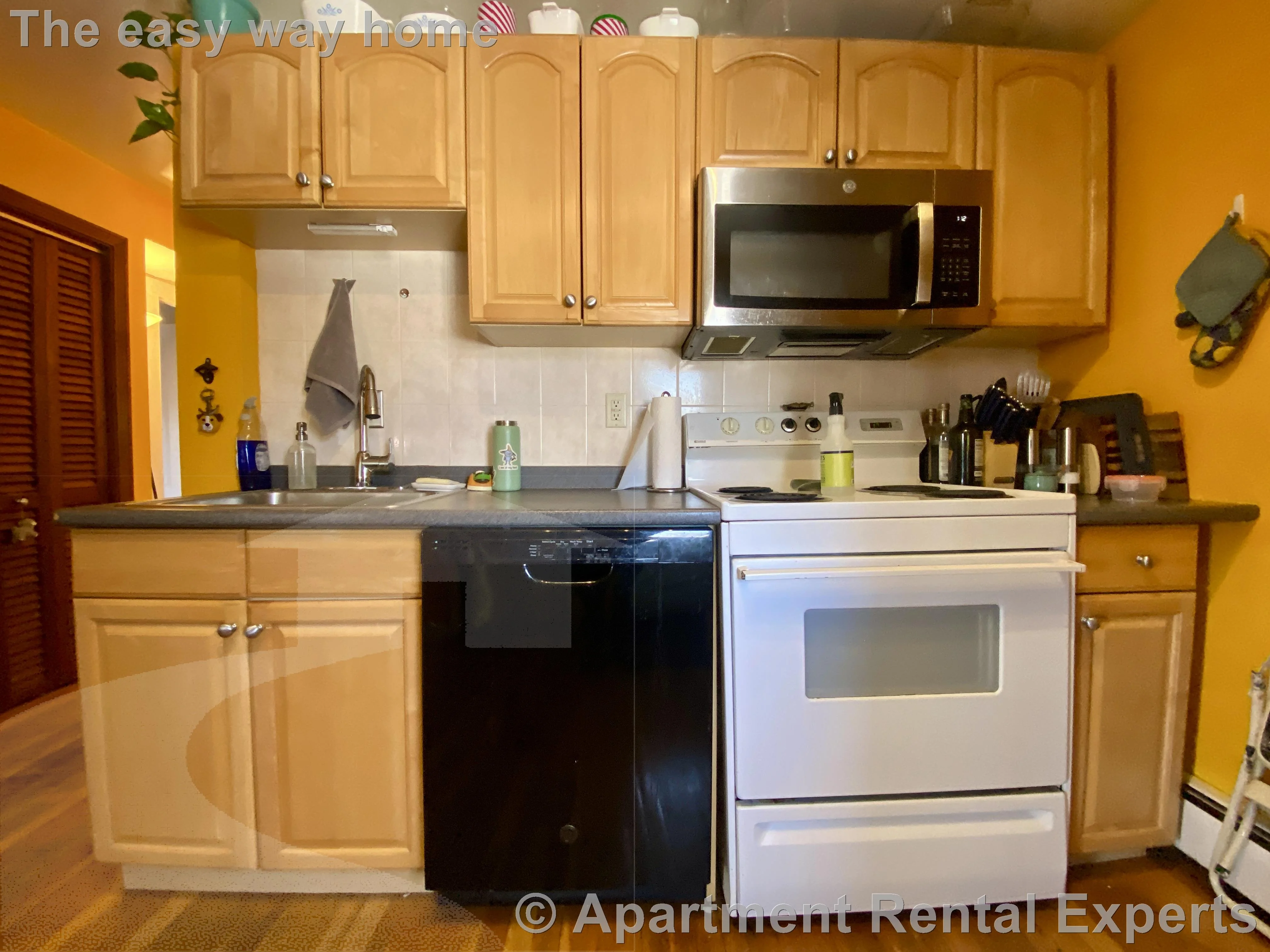 2 bed, 1 bath apartment for rent at 87 Summer St Unit 3, Spring Hill — photo 2 of 19