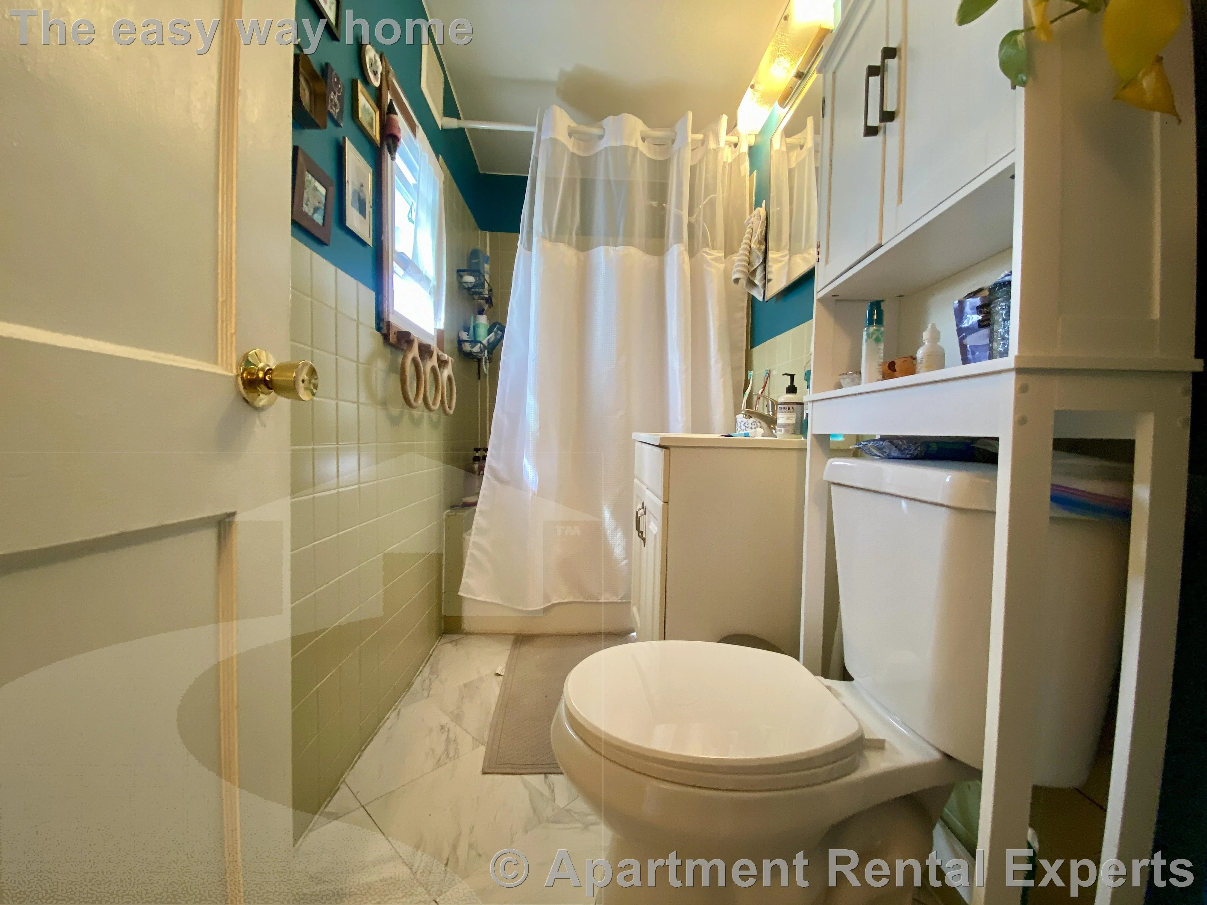 2 bed, 1 bath apartment for rent at 87 Summer St Unit 3, Spring Hill — photo 9 of 19