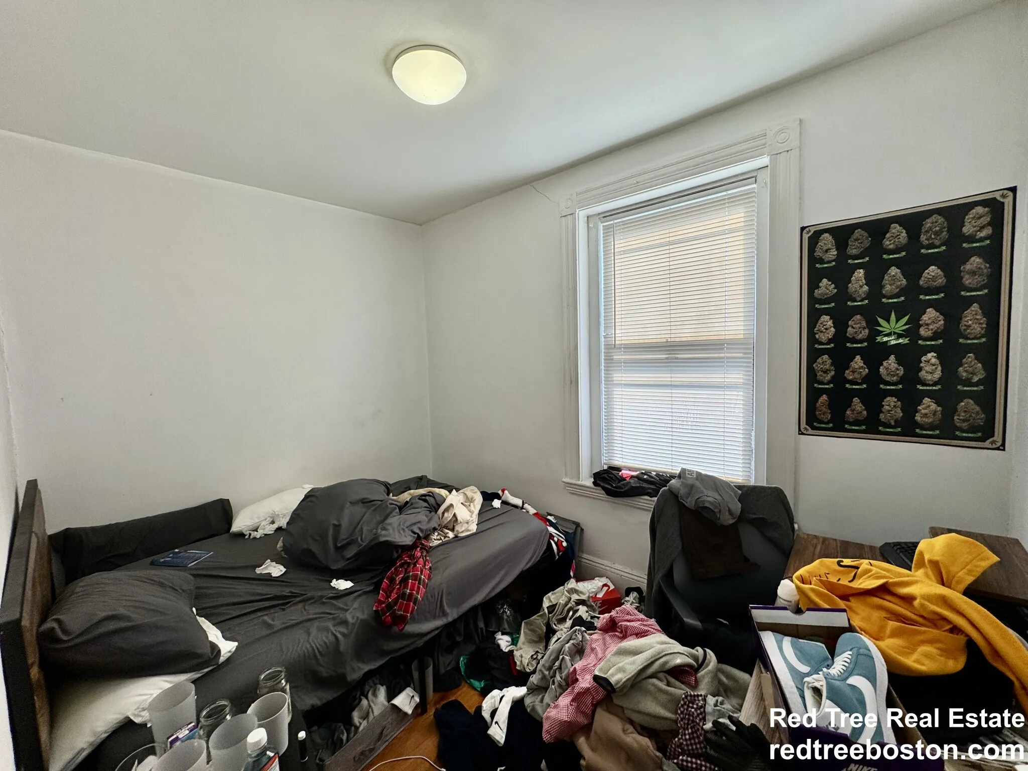 4 bed, 1 bath apartment for rent at 872 Huntington Ave Unit 3A, Mission Hill — photo 10 of 15