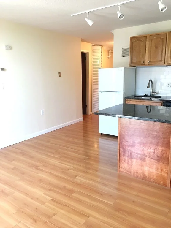 1 bed, 1 bath apartment for rent at 872 Mass Ave Unit 311, Central Square — photo 10 of 12