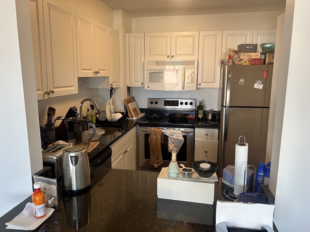 2 bed, 2 bath apartment for rent at 872 Massachusetts Ave Unit 1001, Riverside — photo 5 of 9