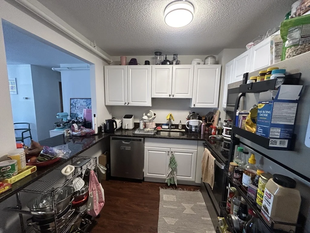 2 bed, 2 bath apartment for rent at 872 Massachusetts Ave Unit 301, Central Square — photo 4 of 9