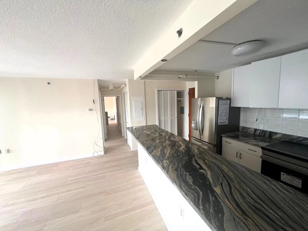 2 bed, 2 bath apartment for rent at 872 Massachusetts Ave Unit 606, Central Square — photo 2 of 17