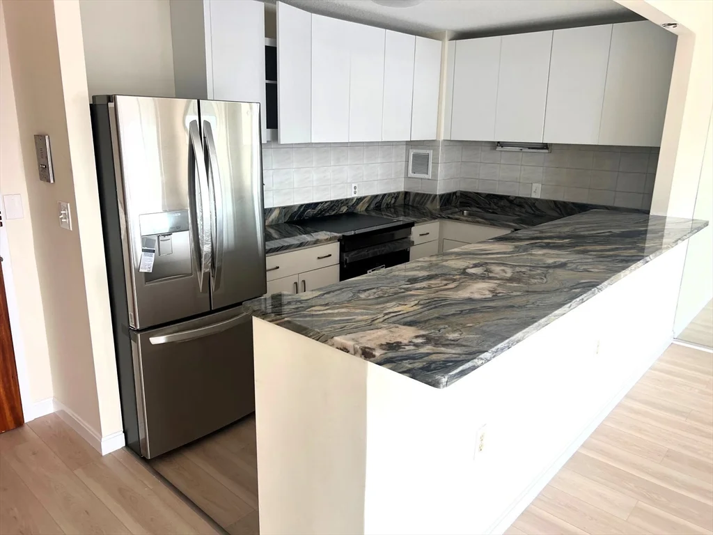 2 bed, 2 bath apartment for rent at 872 Massachusetts Ave Unit 606, Central Square — photo 6 of 17