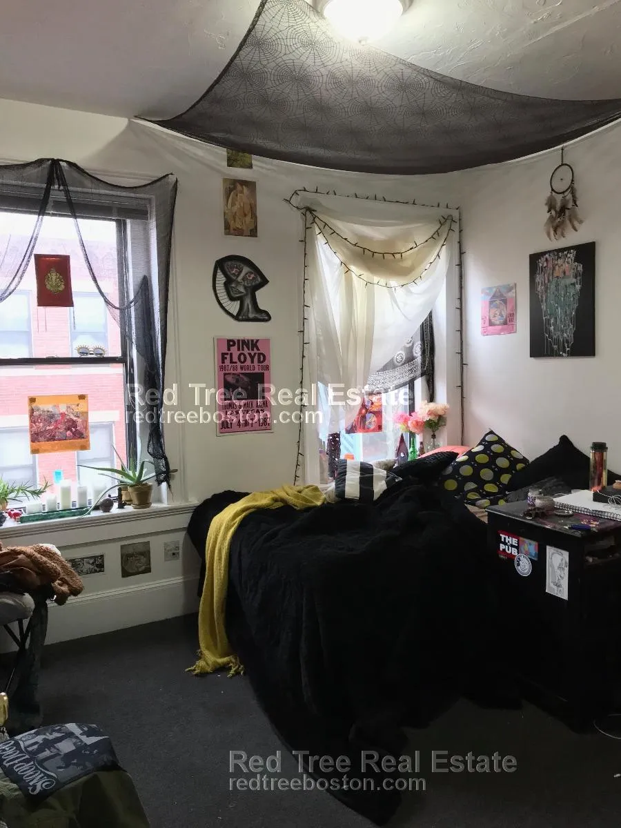 4 bed, 2 bath apartment for rent at 878 Huntington Ave Unit 3, Mission Hill — photo 5 of 10