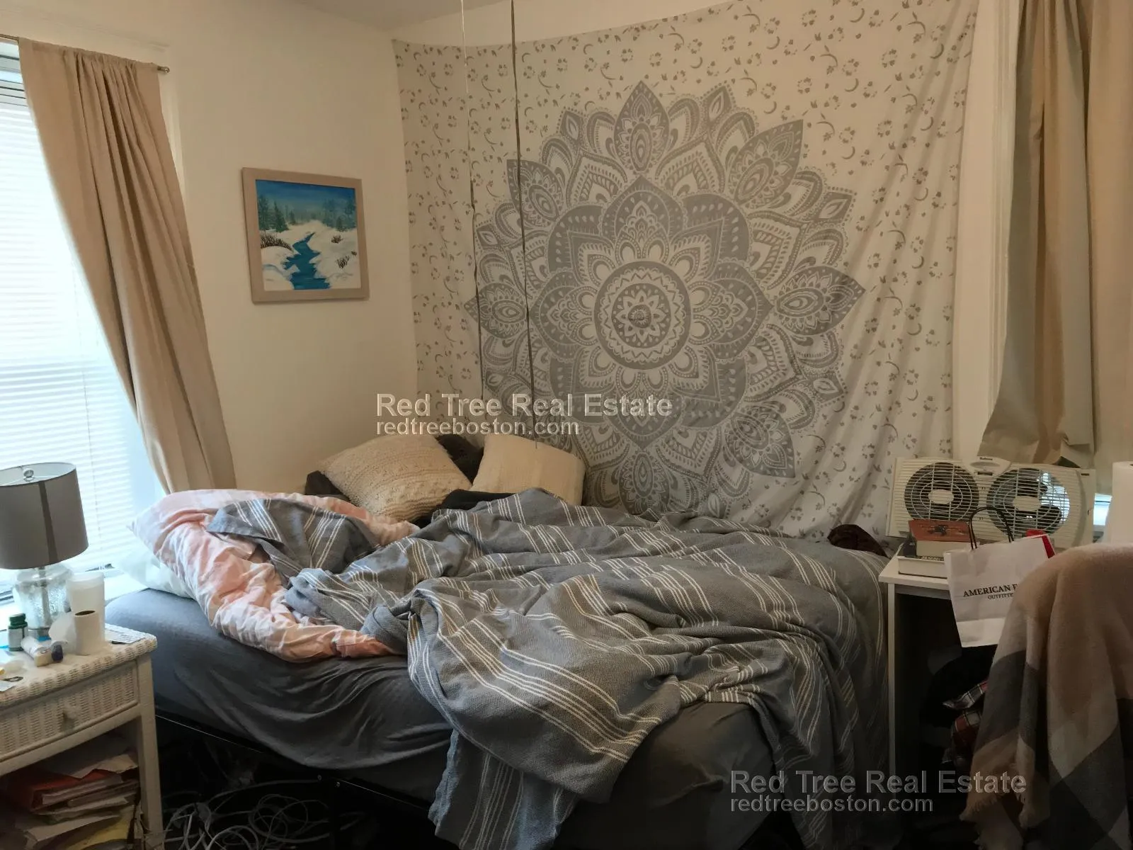4 bed, 2 bath apartment for rent at 878 Huntington Ave Unit 3, Mission Hill — photo 3 of 10