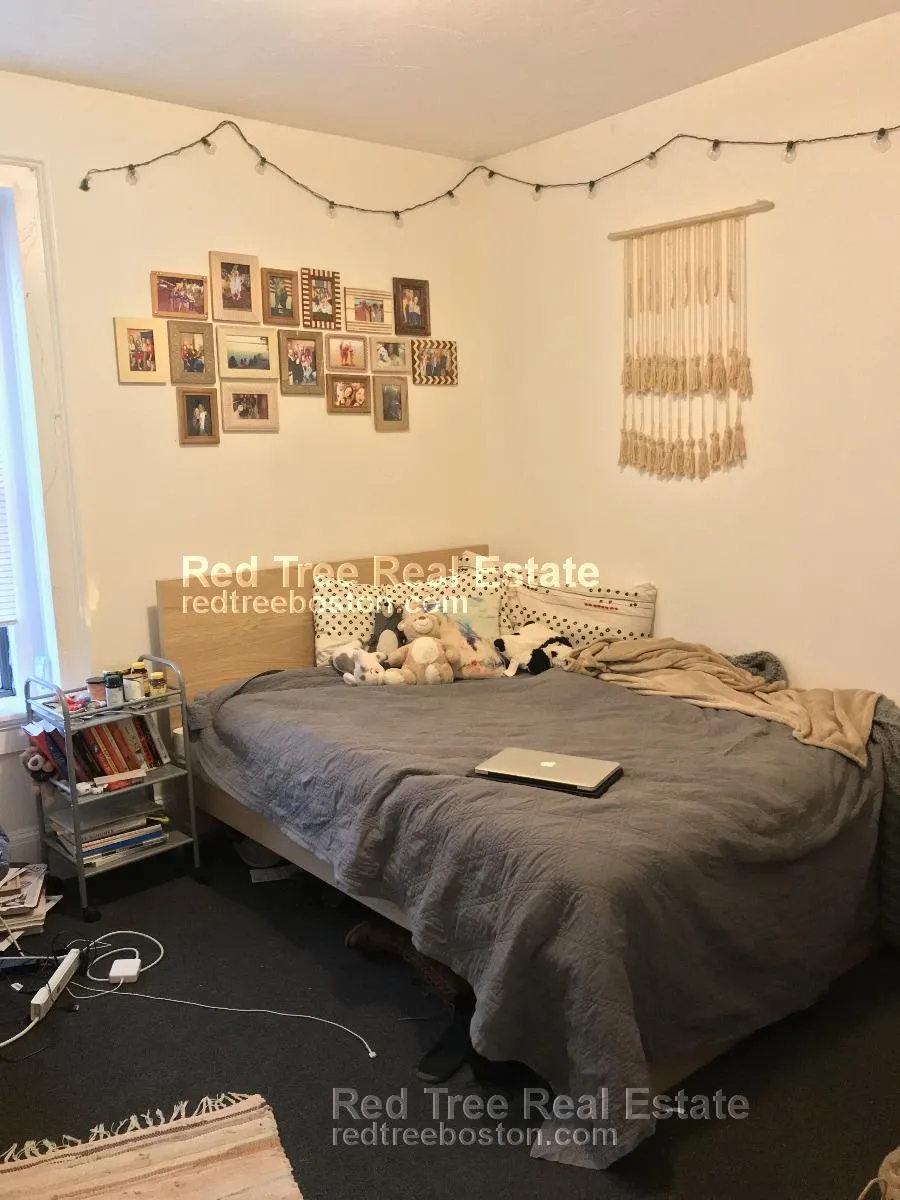 4 bed, 2 bath apartment for rent at 878 Huntington Ave Unit 3, Mission Hill — photo 1 of 10