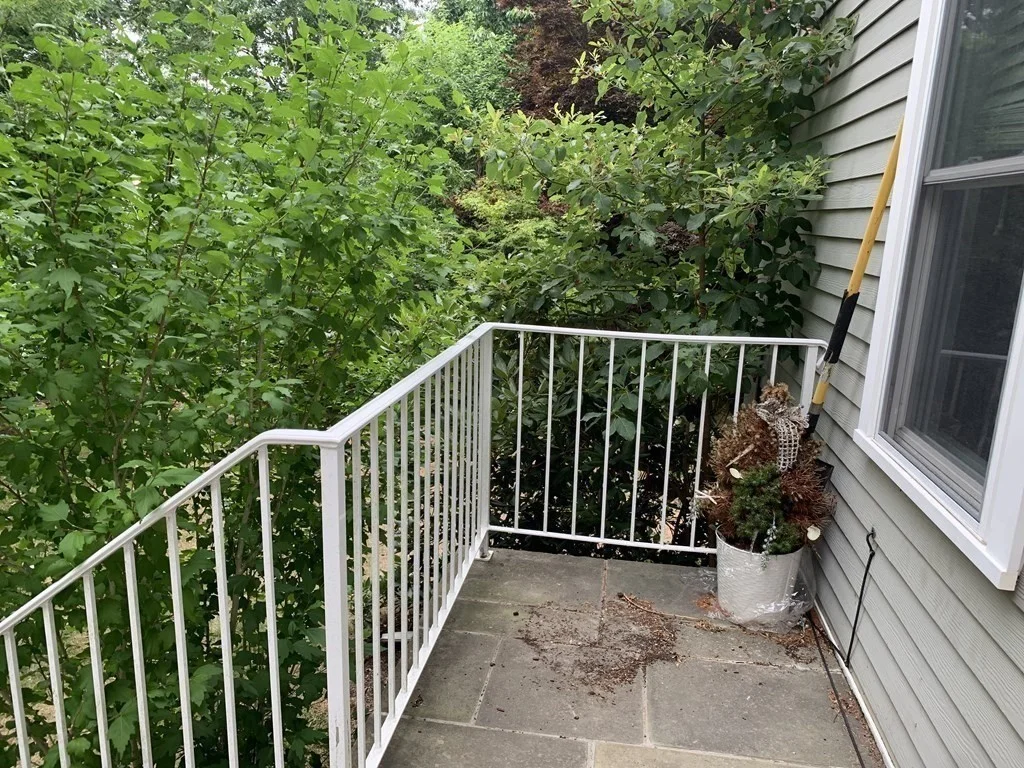 2 bed, 1 bath apartment for rent at 878 State Rd, Unit 1, Westport — photo 8 of 11
