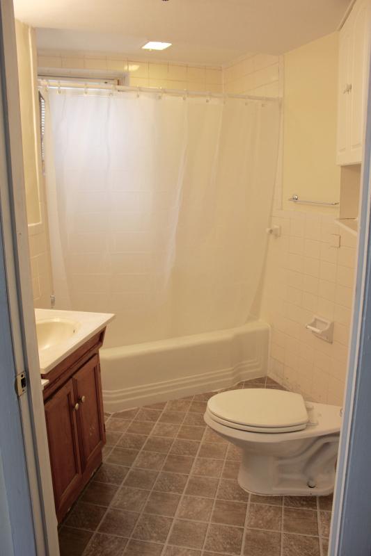 Studio bed, 1 bath apartment for rent at 879 Beacon St Unit 2, Fenway — photo 3 of 11