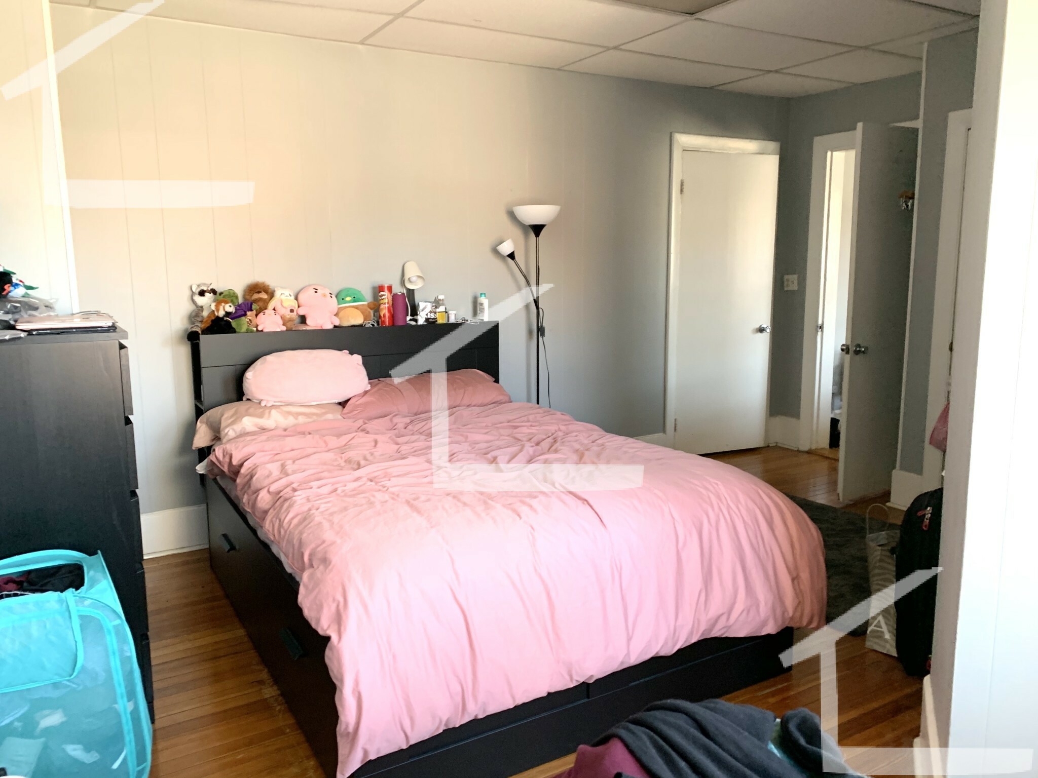 1 bed, 1 bath apartment for rent at 879 Beacon St Unit 51, Fenway — photo 13 of 13
