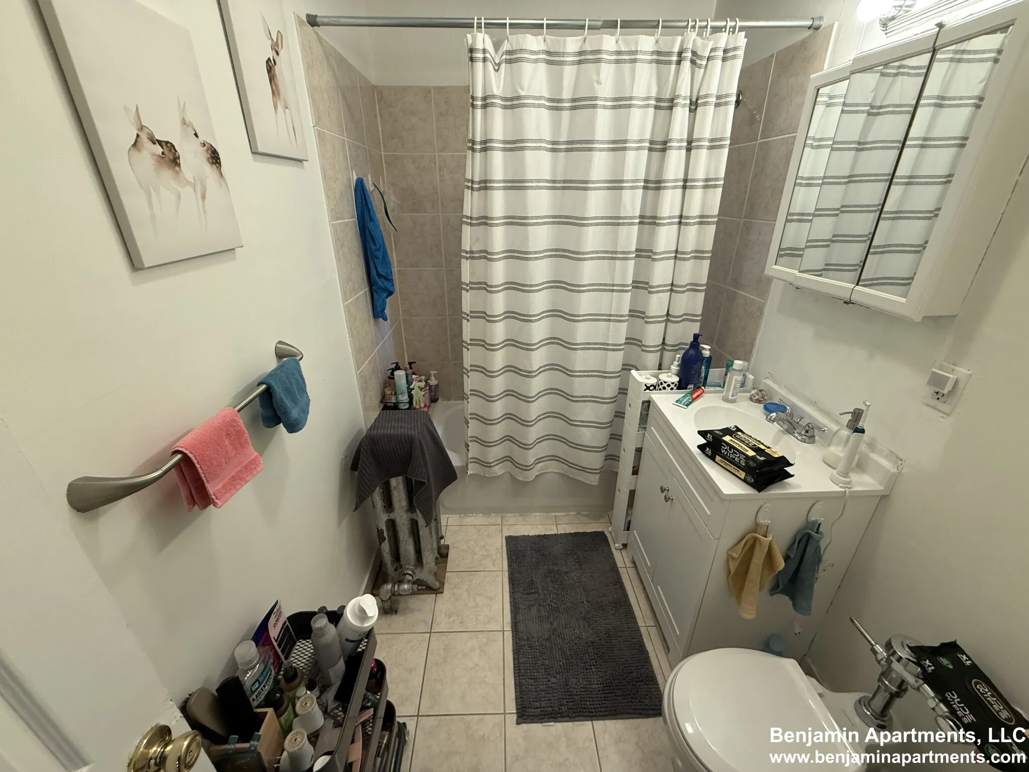 2 bed, 1 bath apartment for rent at 879 Beacon St Unit 52, Fenway — photo 8 of 8