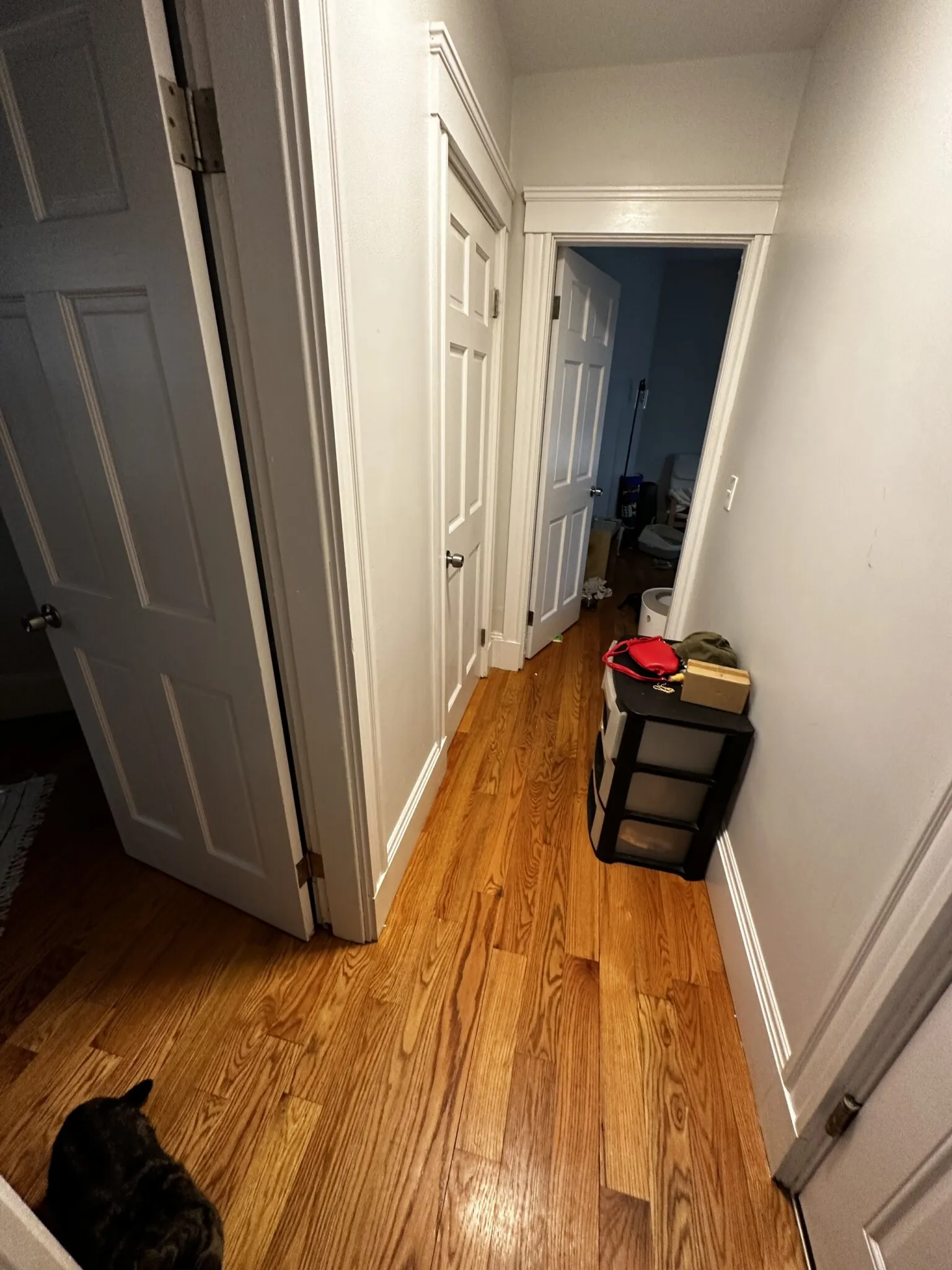 3 bed, 1 bath apartment for rent at 88 Hampshire St Unit 1, The Port — photo 2 of 31