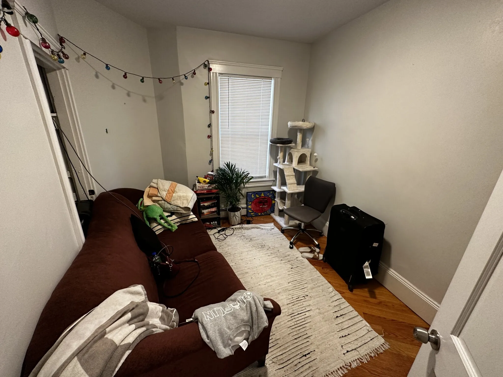 3 bed, 1 bath apartment for rent at 88 Hampshire St Unit 1, The Port — photo 4 of 31