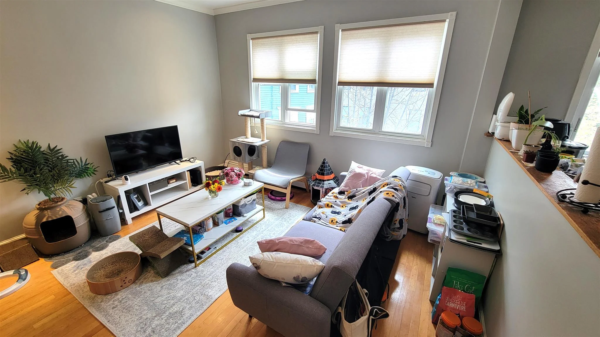 1 bed, 1 bath apartment for rent at 88 Hancock St Unit 11, Mid-Cambridge — photo 2 of 10