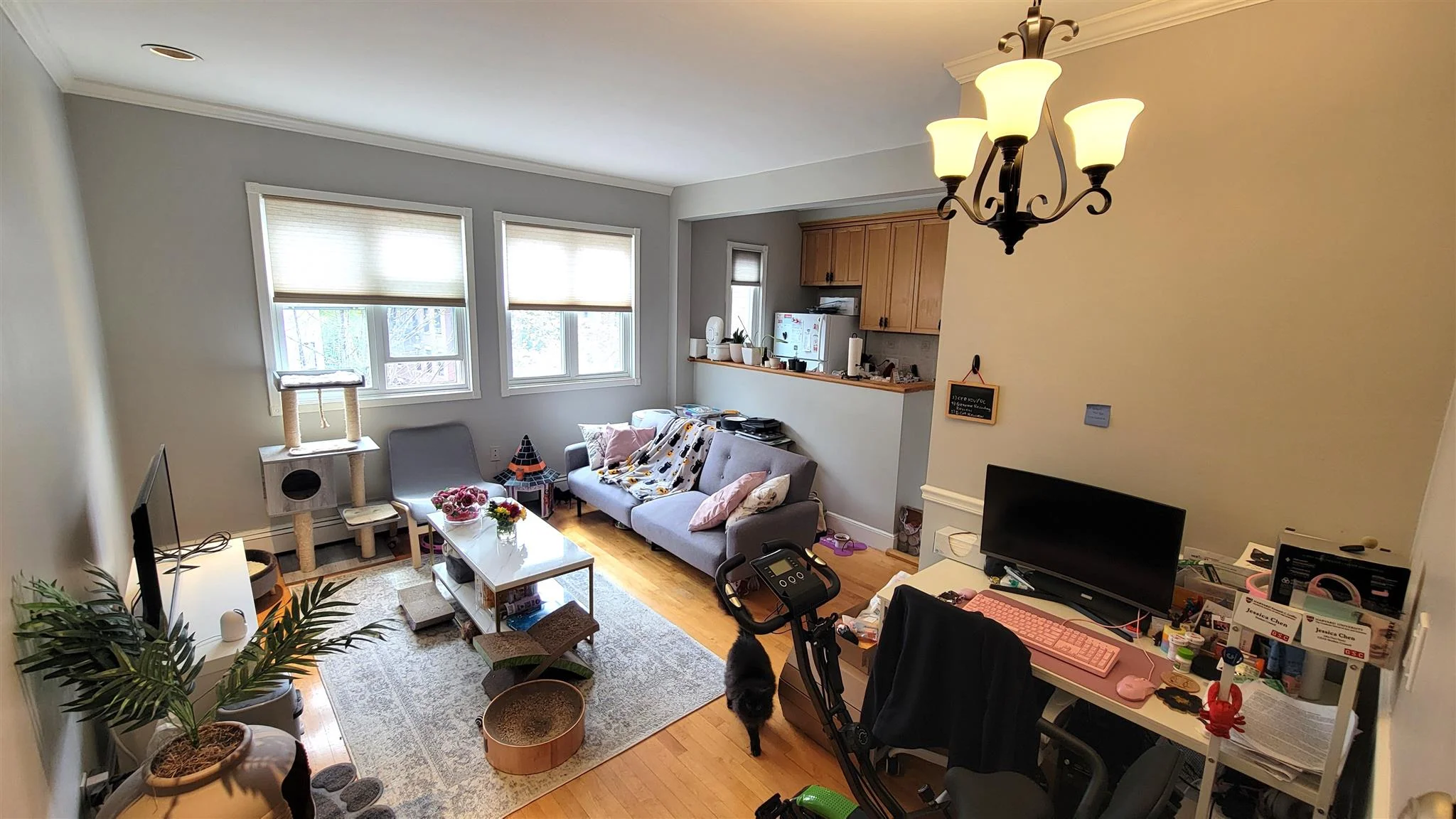 1 bed, 1 bath apartment for rent at 88 Hancock St Unit 11, Mid-Cambridge