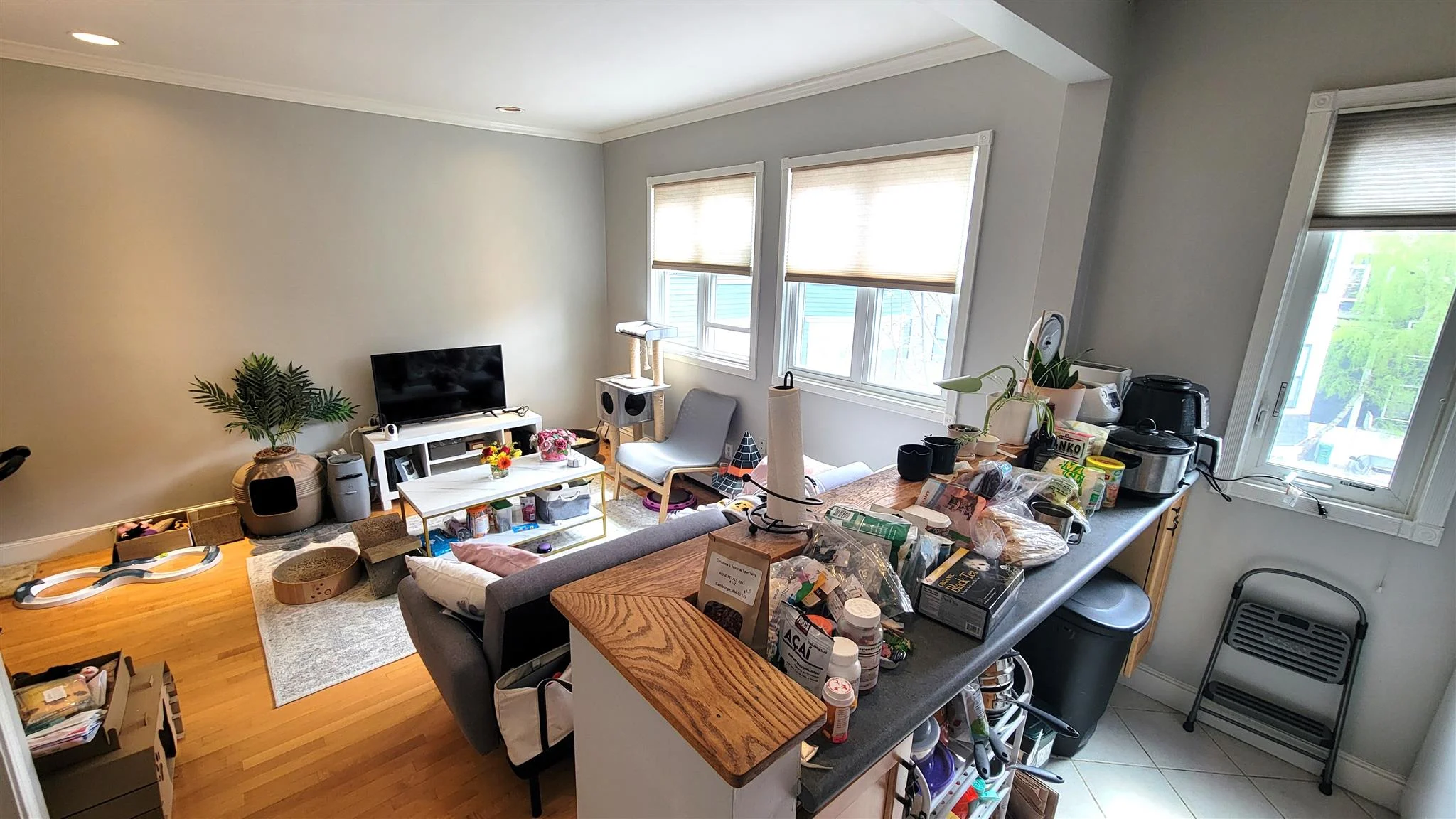 1 bed, 1 bath apartment for rent at 88 Hancock St Unit 11, Mid-Cambridge — photo 4 of 10