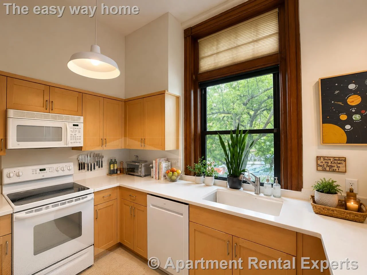 1 bed, 1 bath apartment for rent at 88 Park Ave Unit 208, Arlington Heights — photo 1 of 30