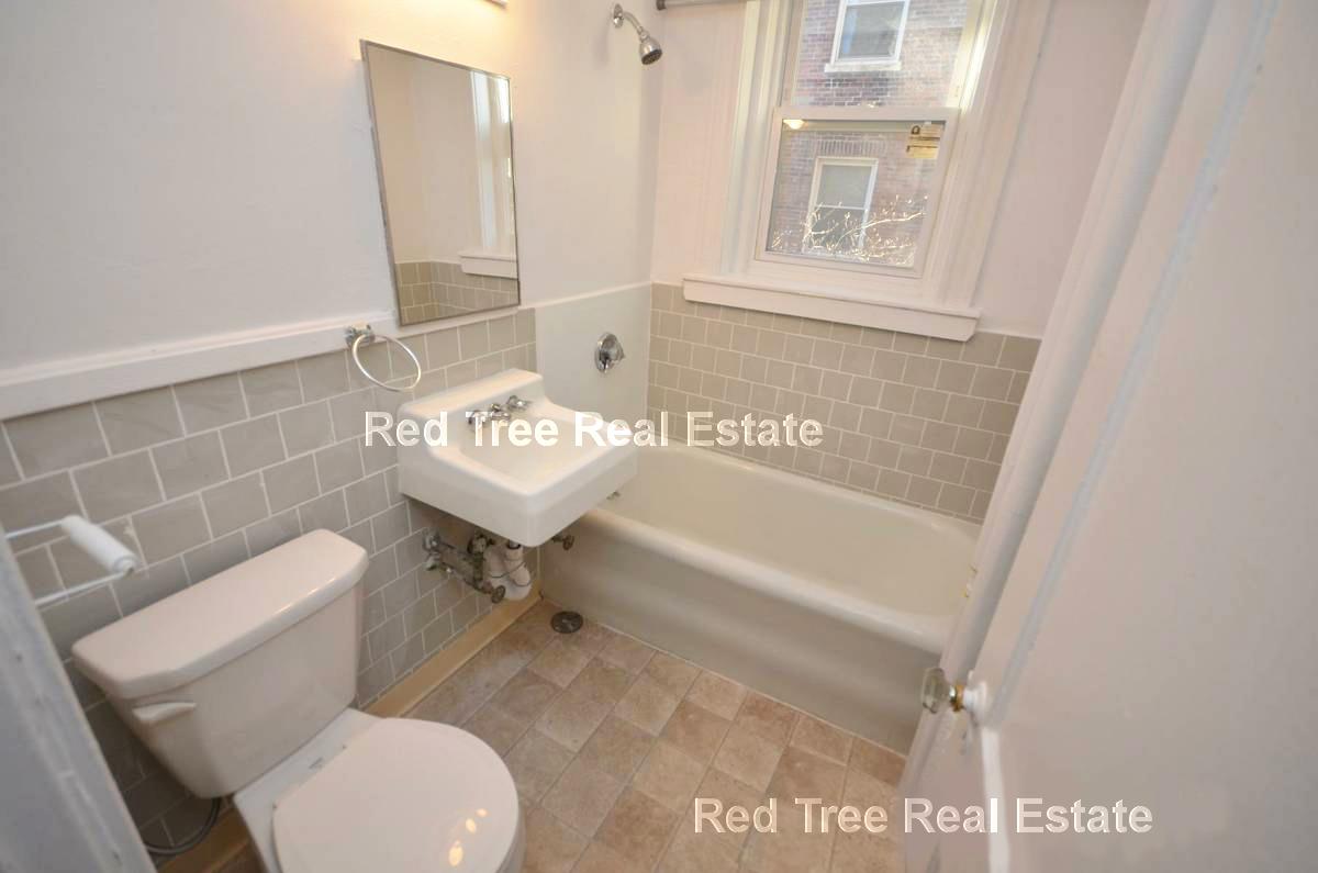 1 bed, 1 bath apartment for rent at 88 Washington St Unit 14, Brighton — photo 6 of 7