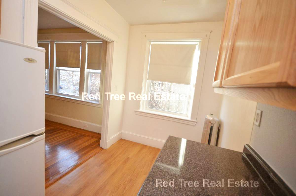 1 bed, 1 bath apartment for rent at 88 Washington St Unit 14, Brighton — photo 3 of 7