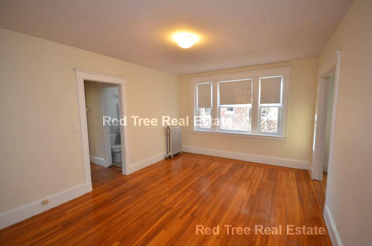 1 bed, 1 bath apartment for rent at 88 Washington St Unit 14, Brighton — photo 1 of 7