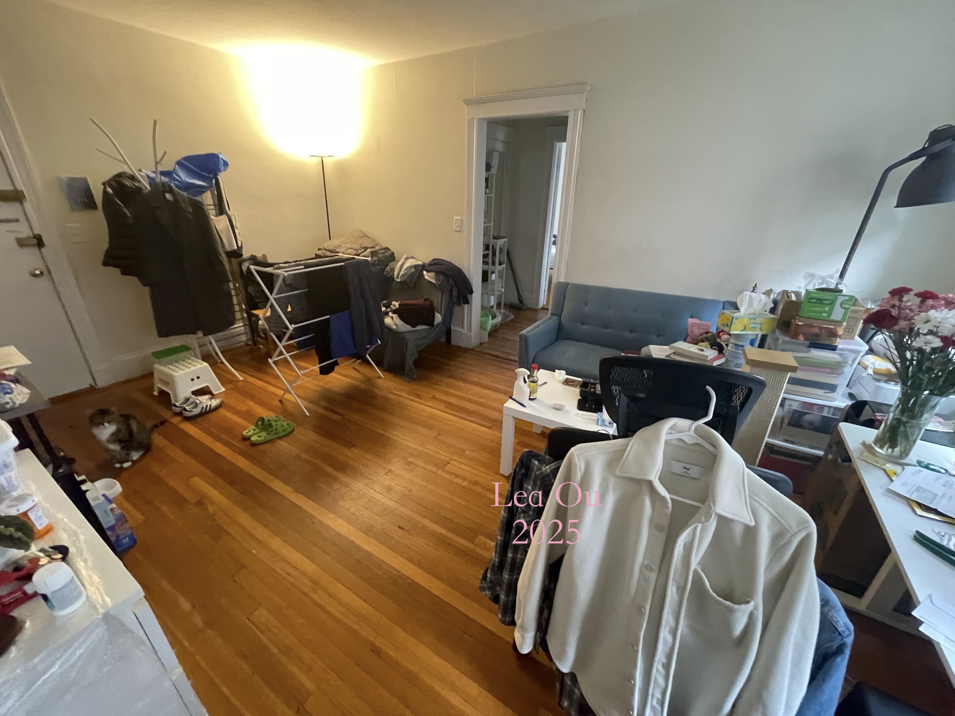 1 bed, 1 bath apartment for rent at 88 Washington St Unit 21, Brighton — photo 2 of 9