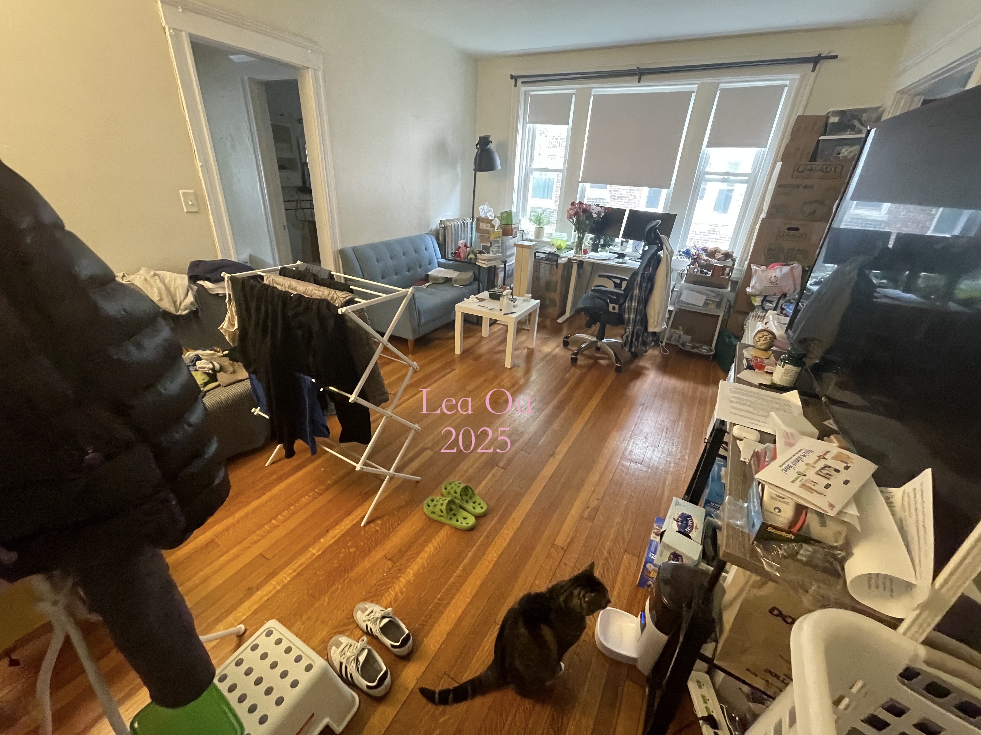 1 bed, 1 bath apartment for rent at 88 Washington St Unit 21, Brighton — photo 1 of 9
