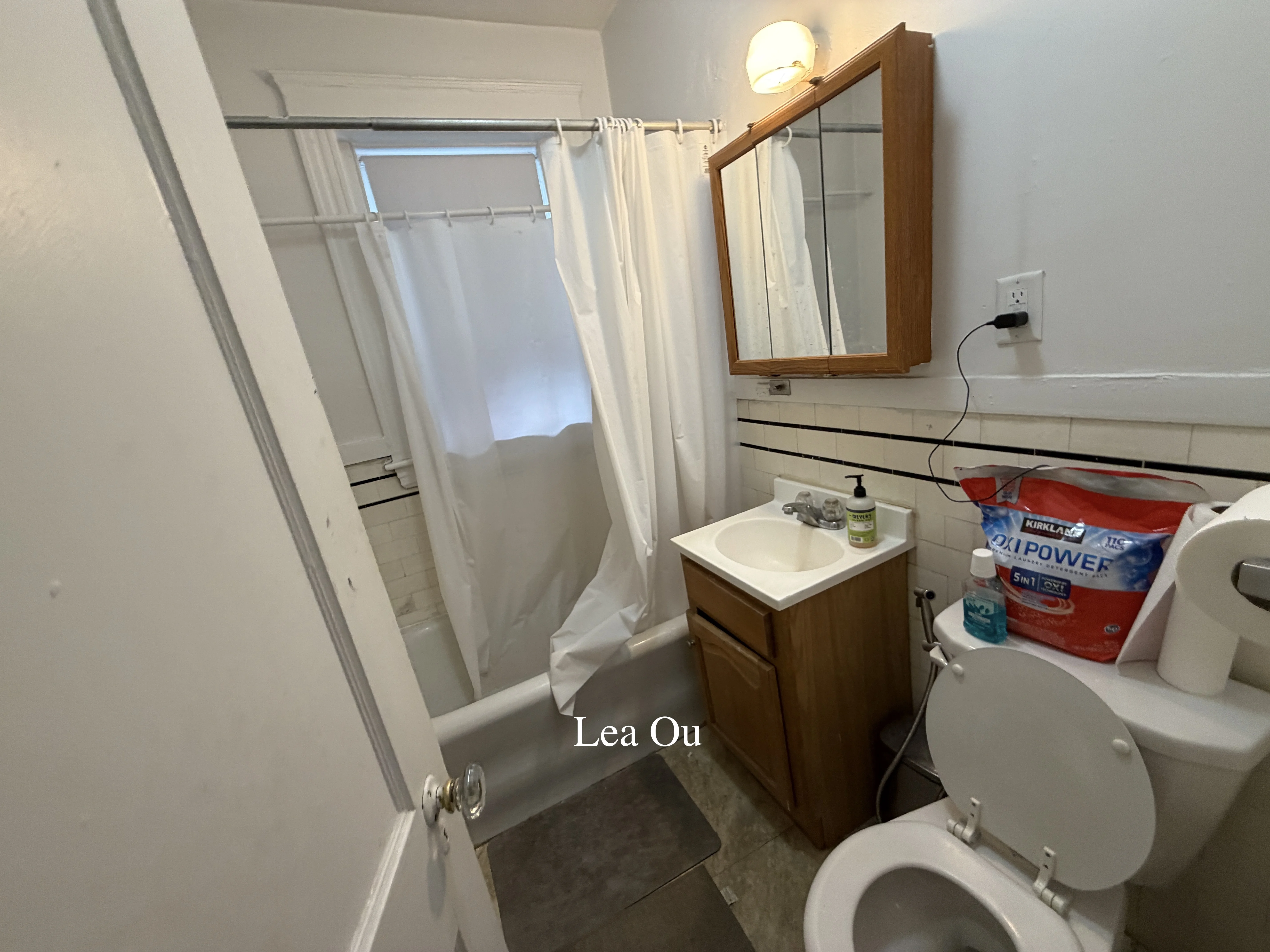1 bed, 1 bath apartment for rent at 88 Washington St Unit 6, Brighton — photo 5 of 6
