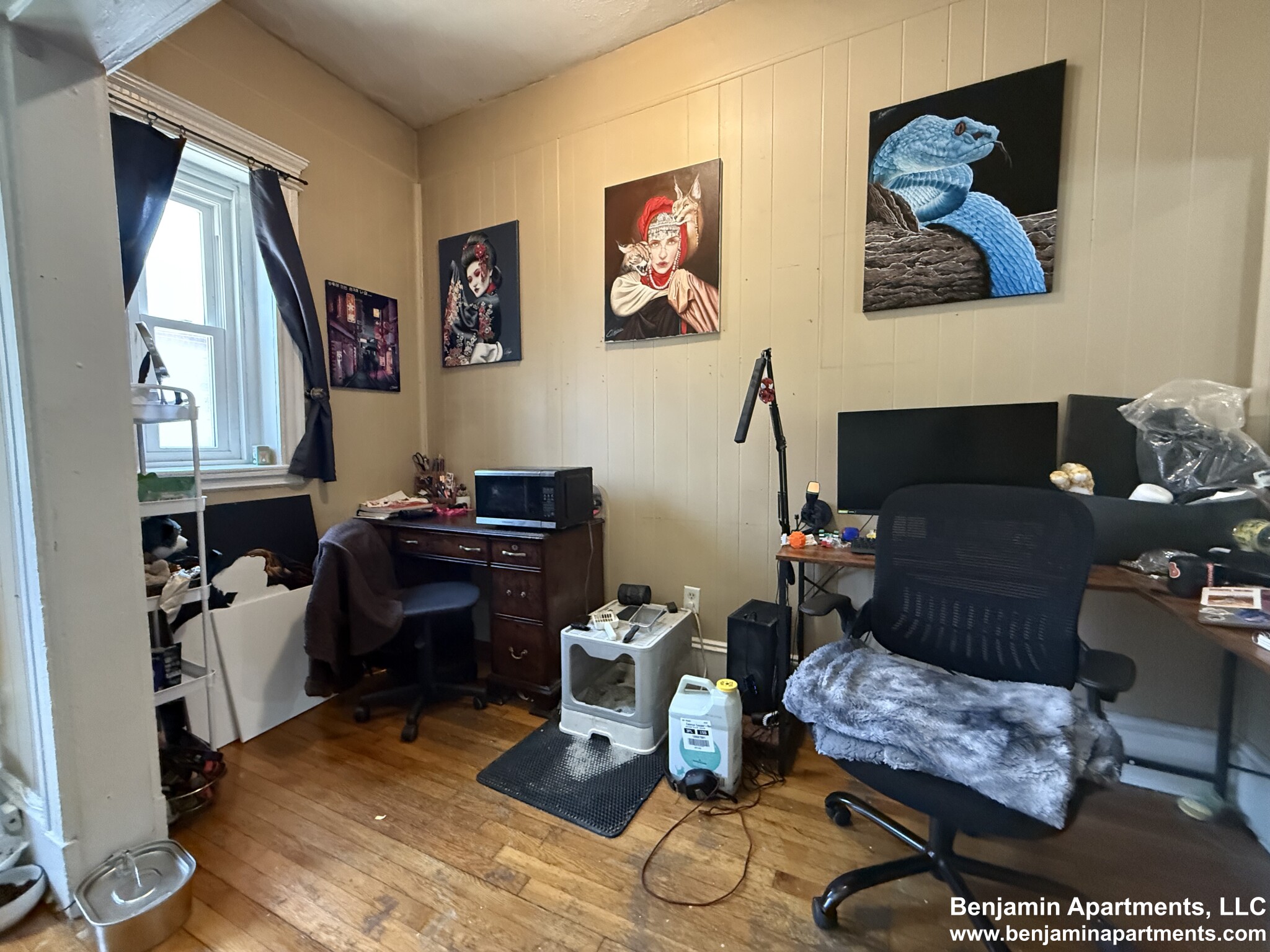 1 bed, 1 bath apartment for rent at 883 Huntington Ave Unit 2F, Mission Hill — photo 4 of 8