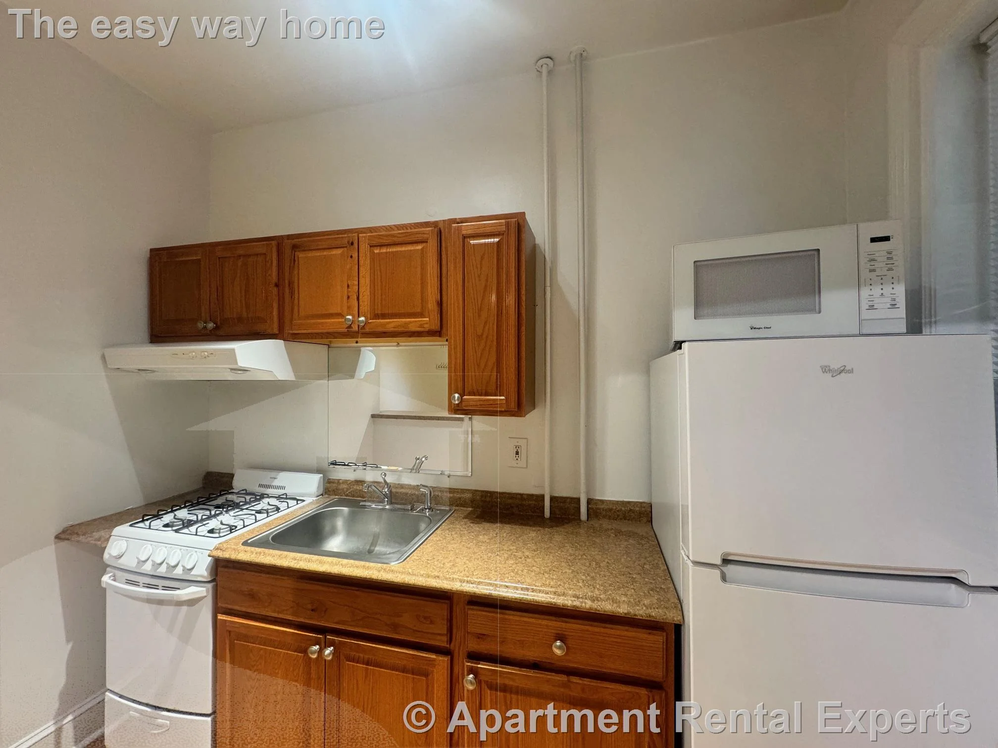 1 bed, 1 bath apartment for rent at 888 Massachusetts Ave Unit 215, Central Square — photo 3 of 7