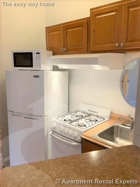 1 bed, 1 bath apartment for rent at 888 Massachusetts Ave Unit 216, Central Square — photo 3 of 15