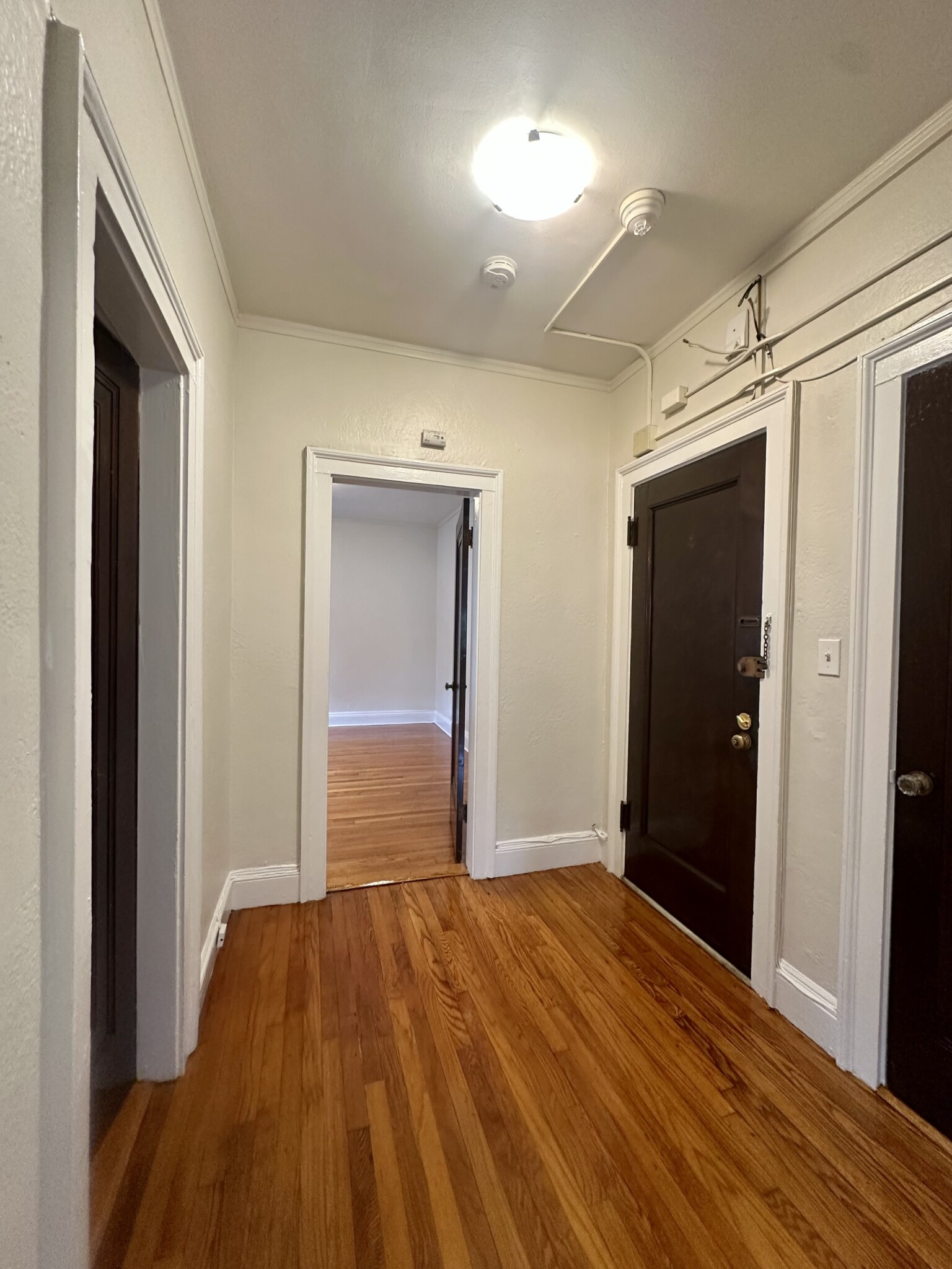 1 bed, 1 bath apartment for rent at 89 Strathmore Rd Unit 1, Brighton — photo 5 of 12